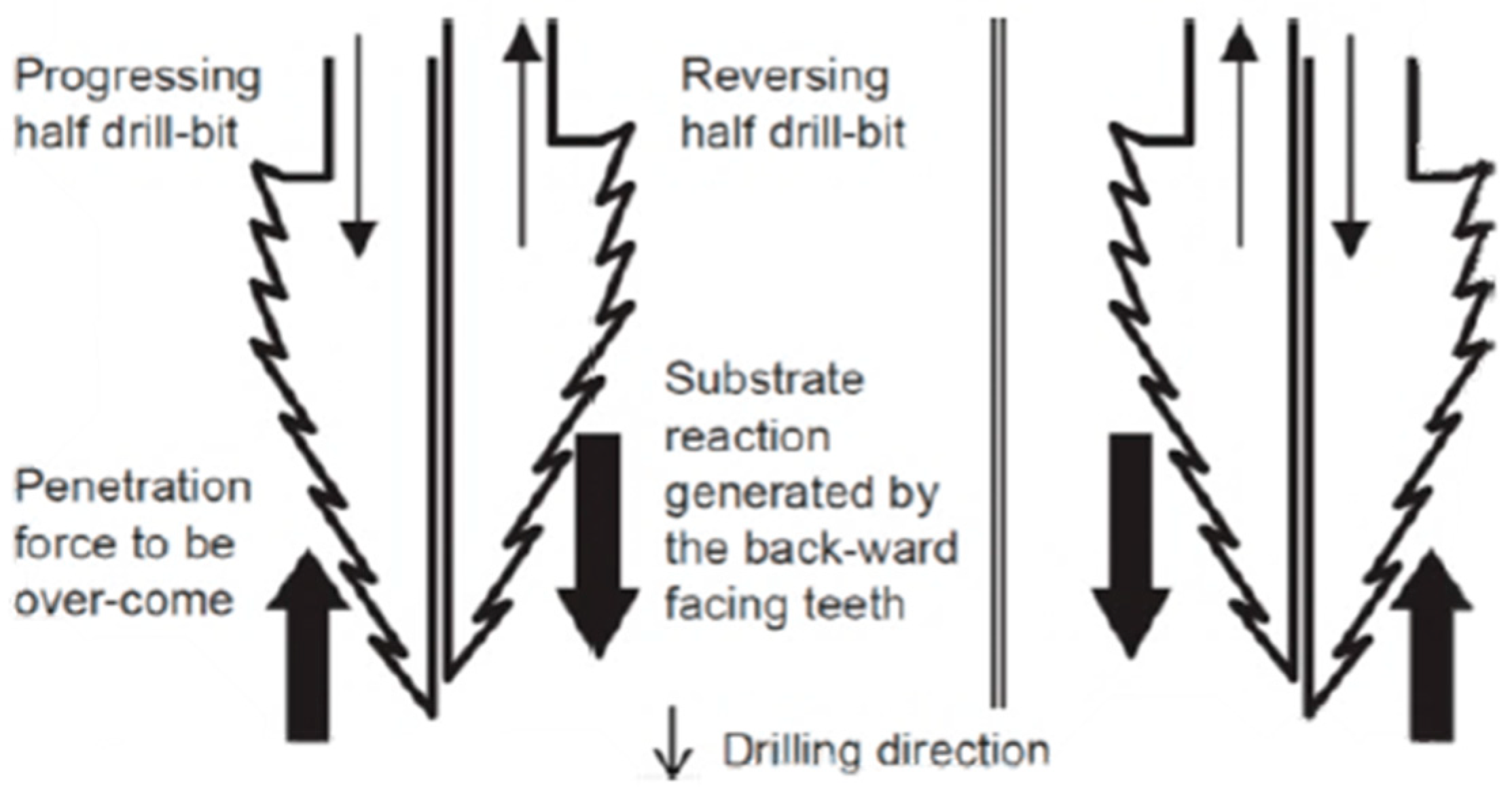 Biomimetics 10 00752 g005