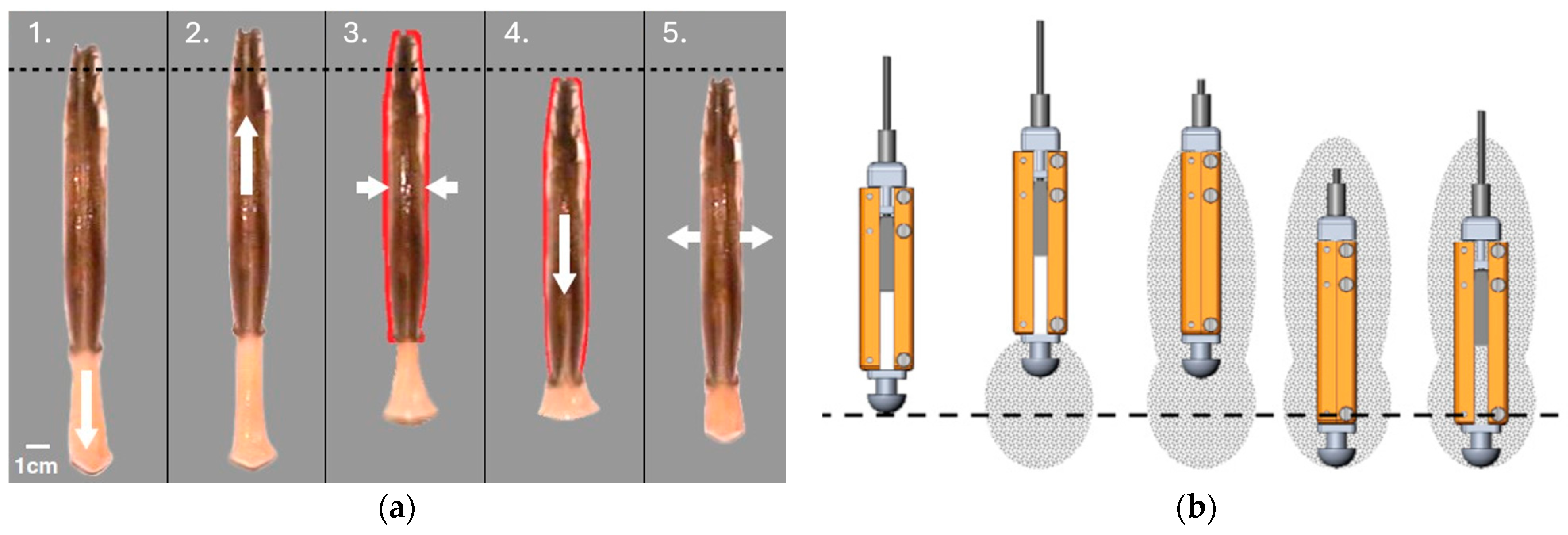 Biomimetics 10 00752 g011