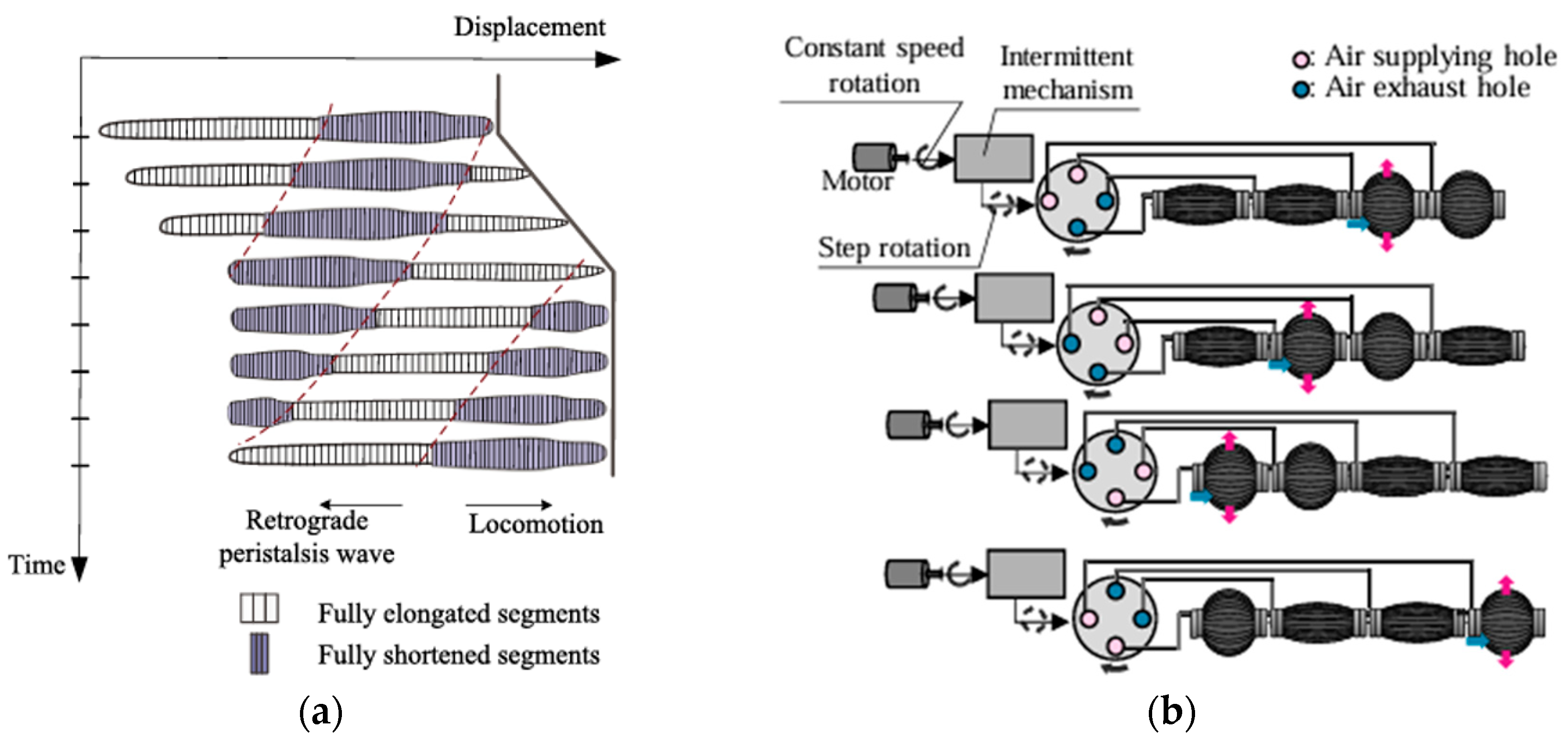 Biomimetics 10 00752 g014