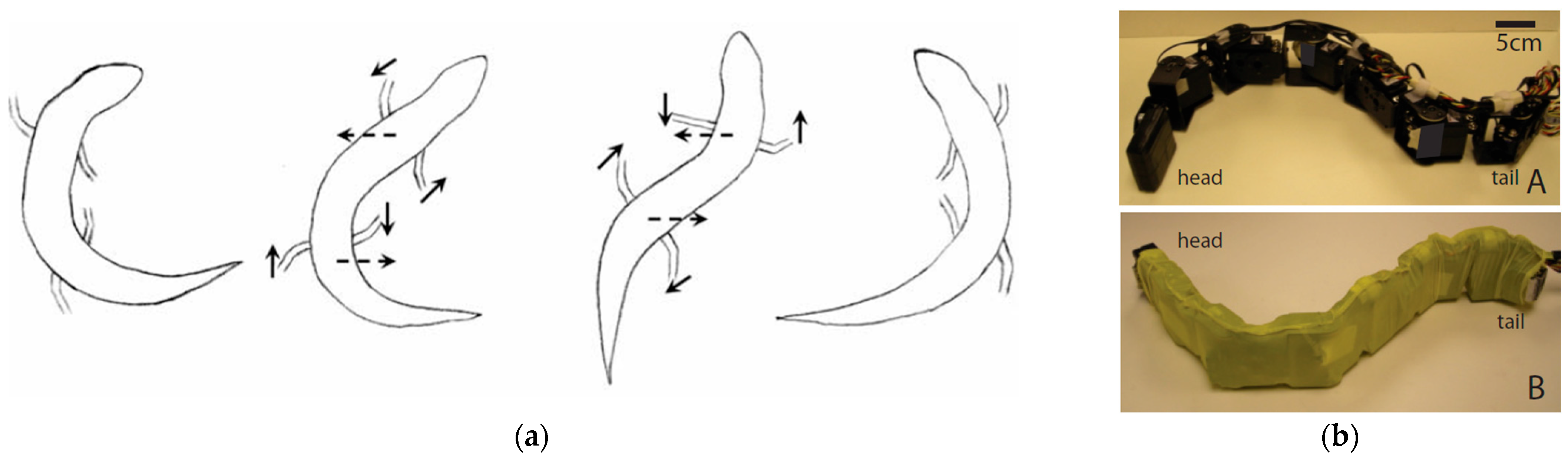 Biomimetics 10 00752 g017