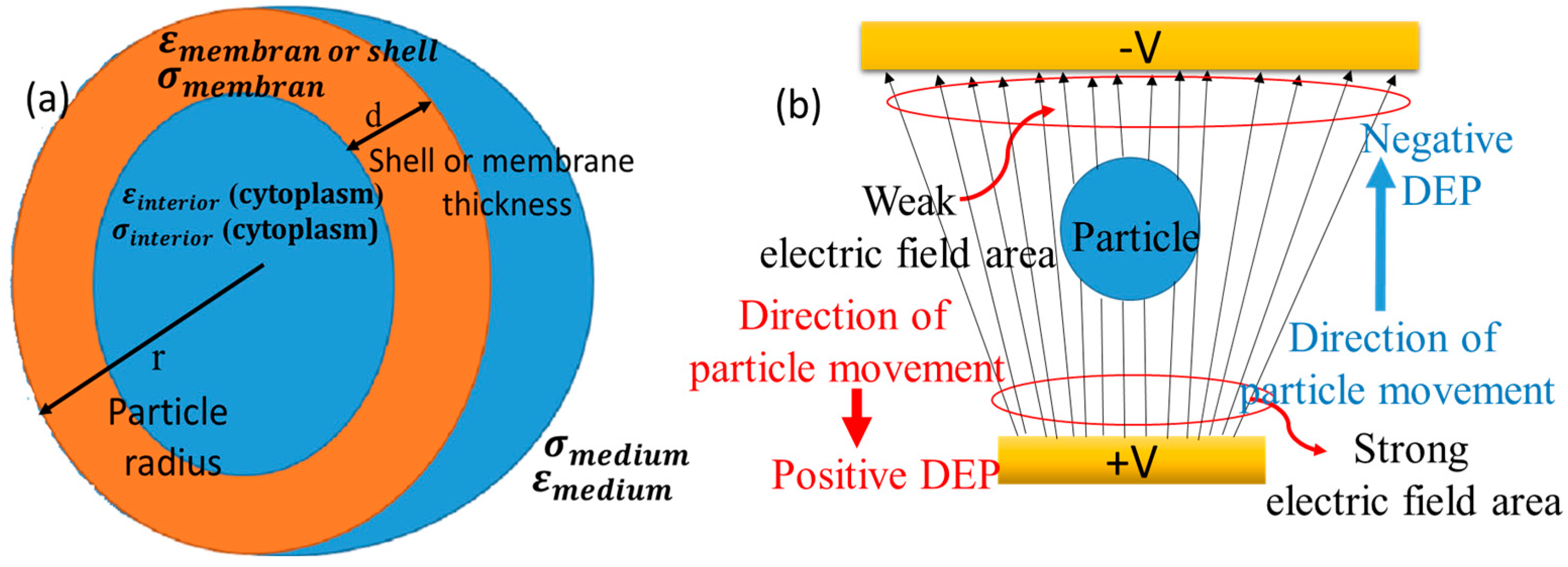 Biomimetics 10 00753 g001 Biomimetics 10 00753 g001