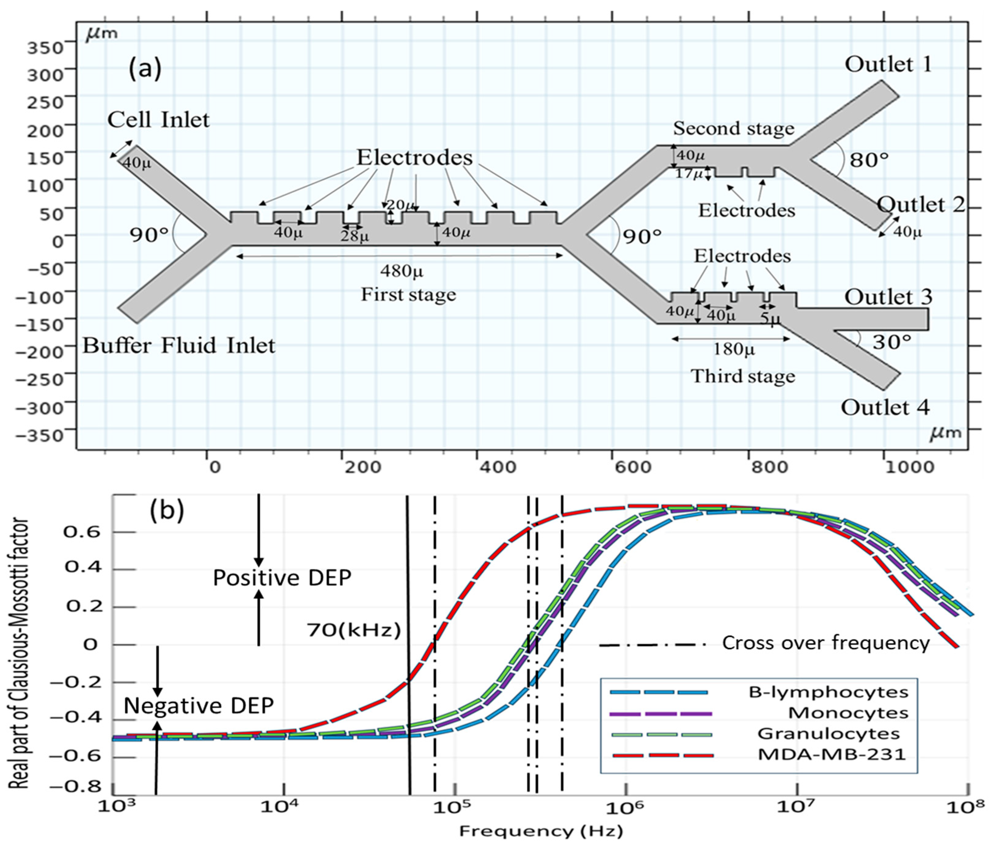 Biomimetics 10 00753 g002 Biomimetics 10 00753 g002