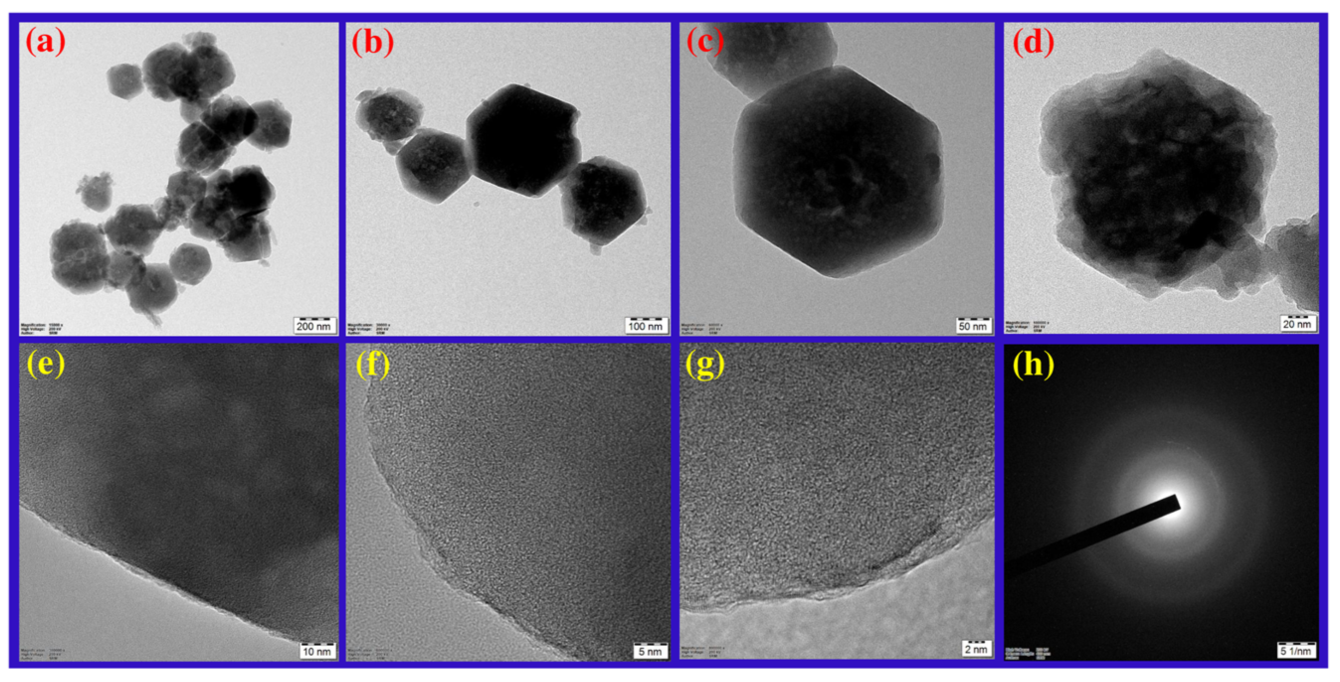 Biomimetics 10 00755 g003