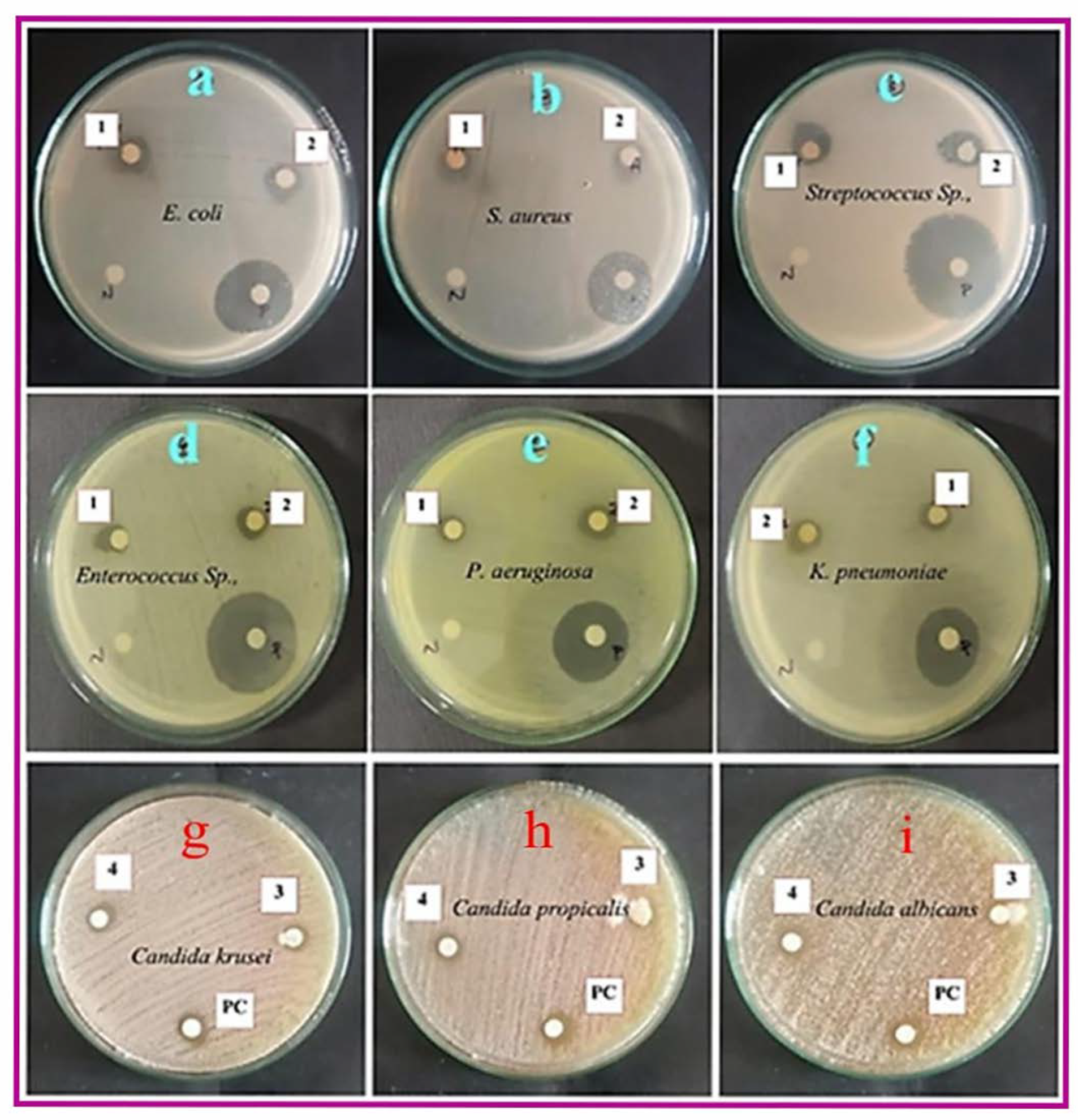 Biomimetics 10 00755 g005