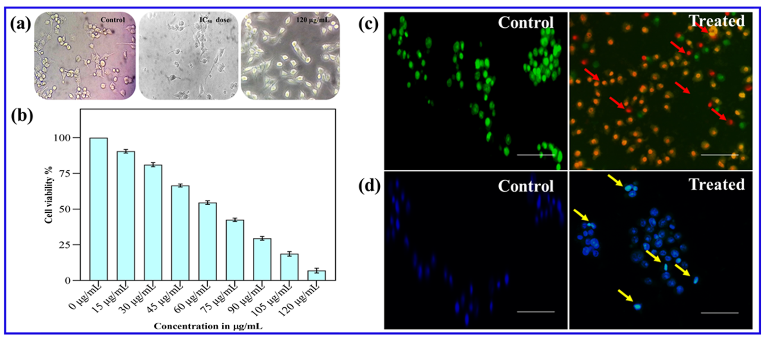 Biomimetics 10 00755 g006