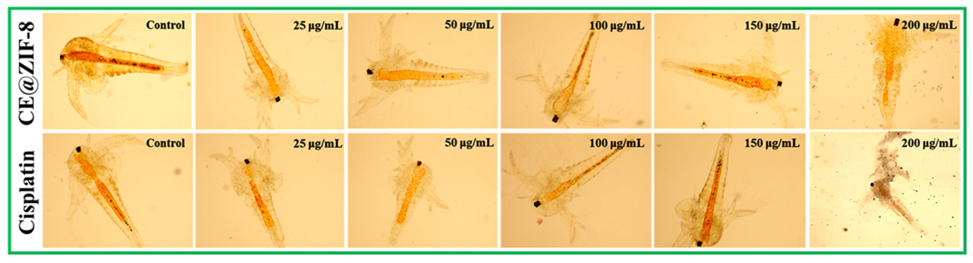Biomimetics 10 00755 g007