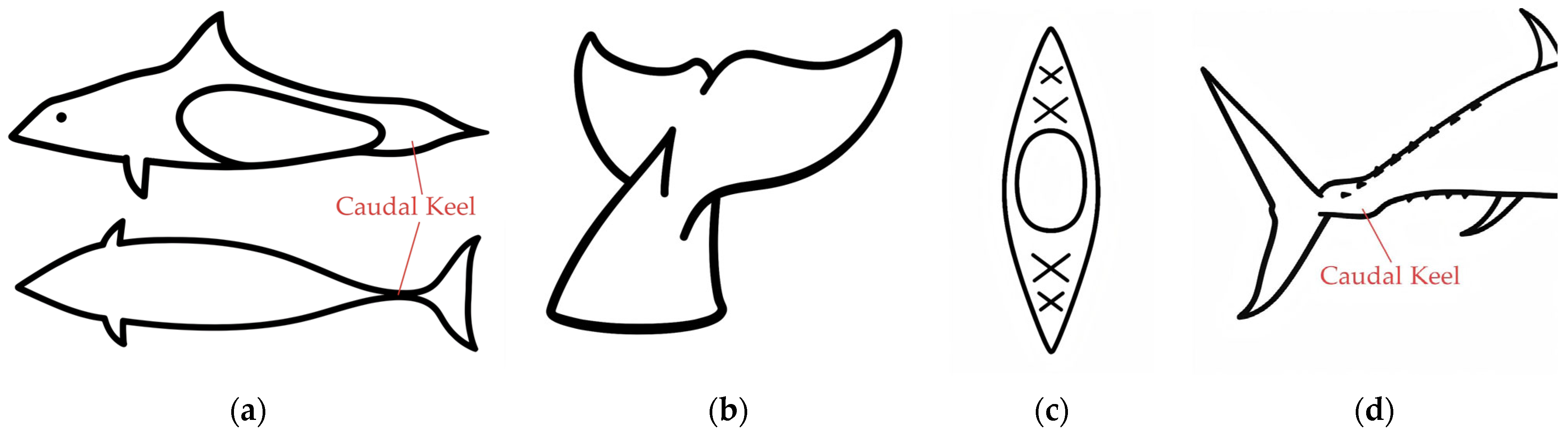 Biomimetics 10 00756 g001