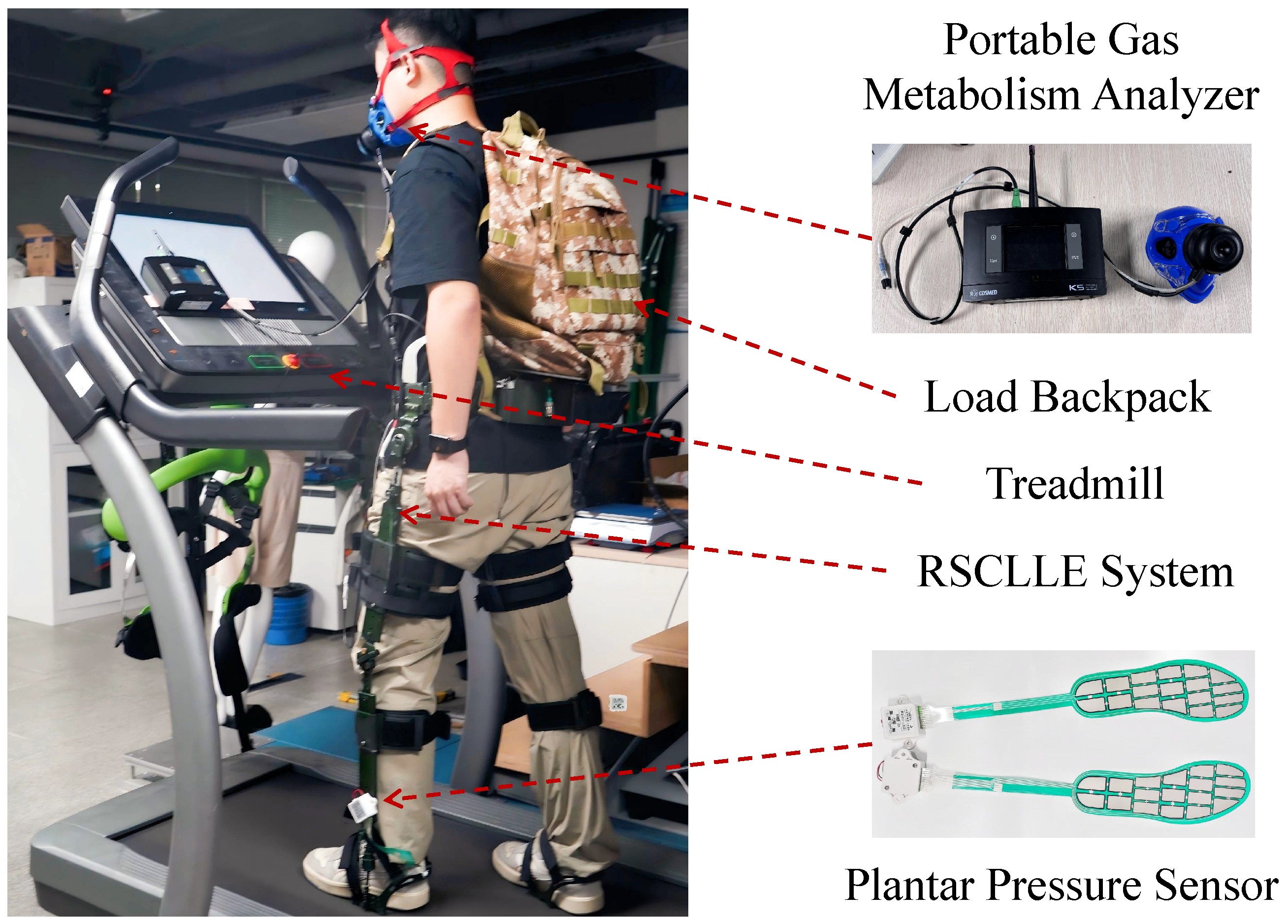 Biomimetics 10 00757 g004