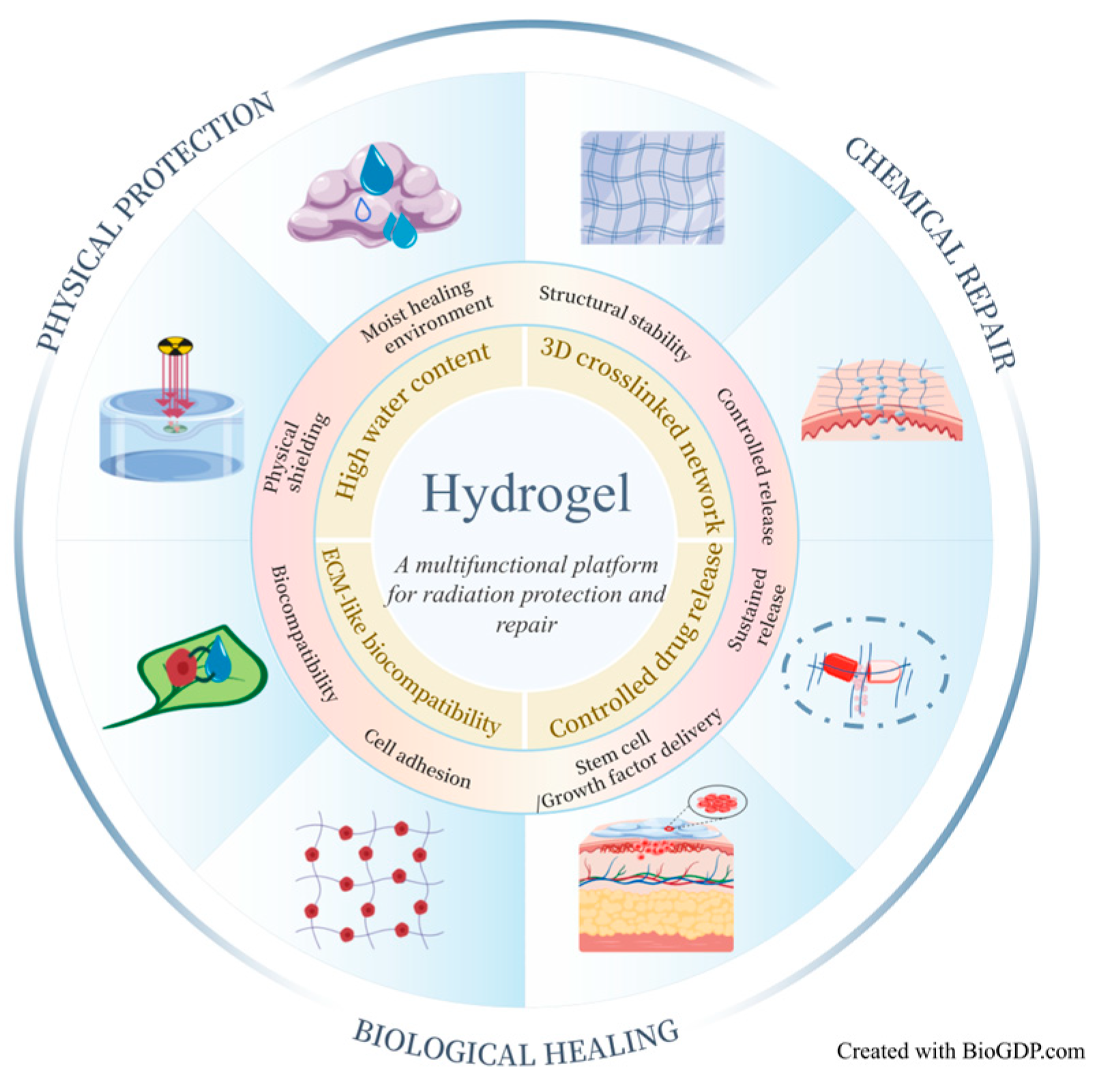 Biomimetics 10 00758 g003