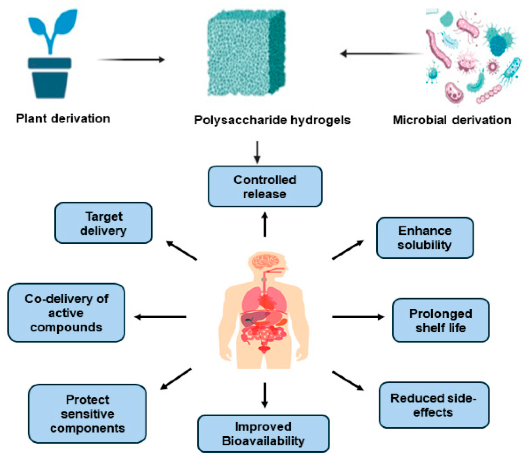 Biomimetics 10 00758 g004