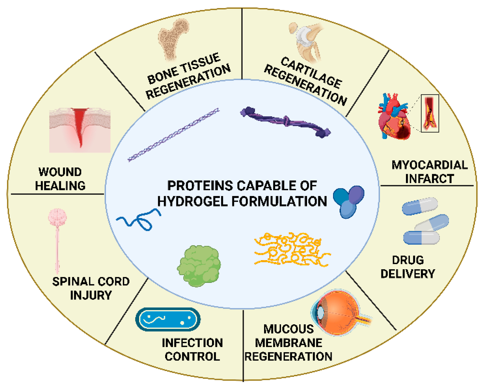 Biomimetics 10 00758 g005