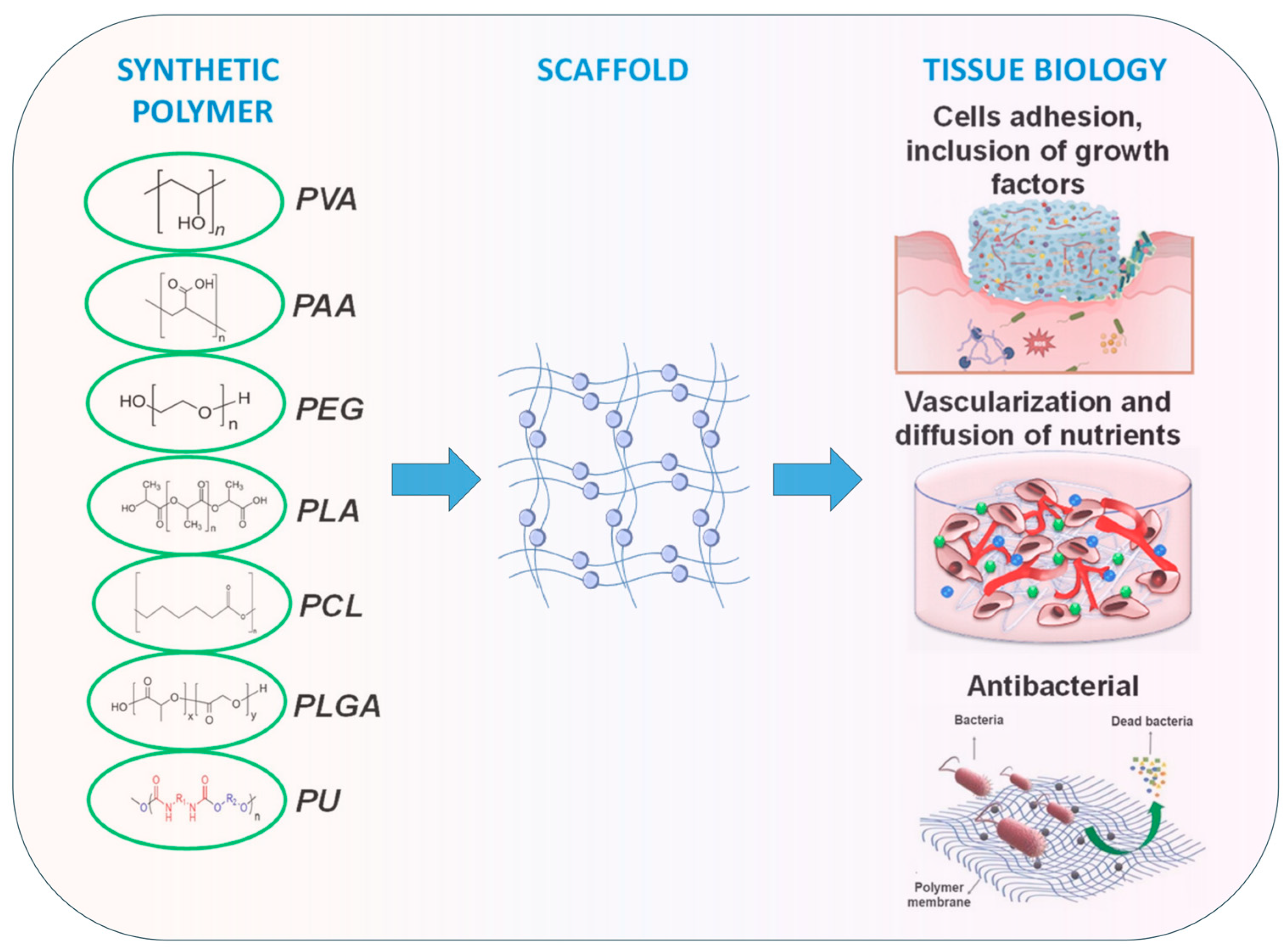 Biomimetics 10 00758 g006