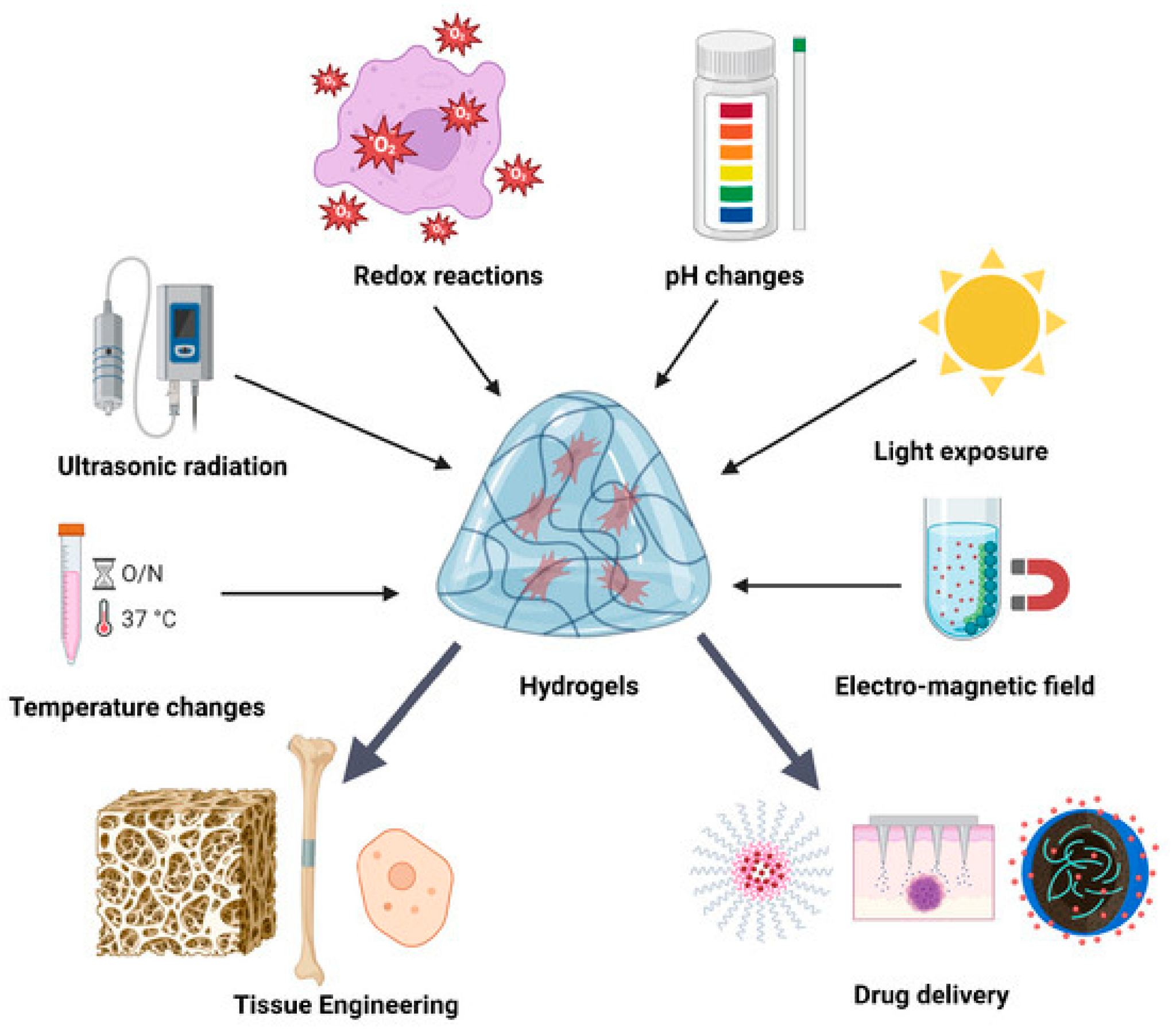 Biomimetics 10 00758 g007