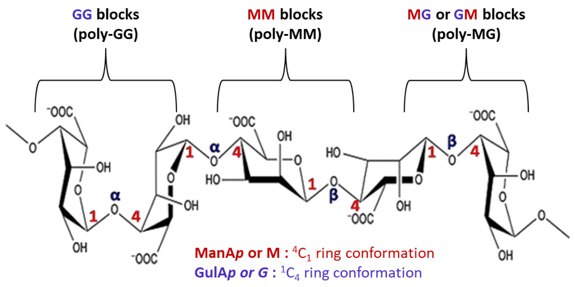 Biomimetics 10 00758 i002