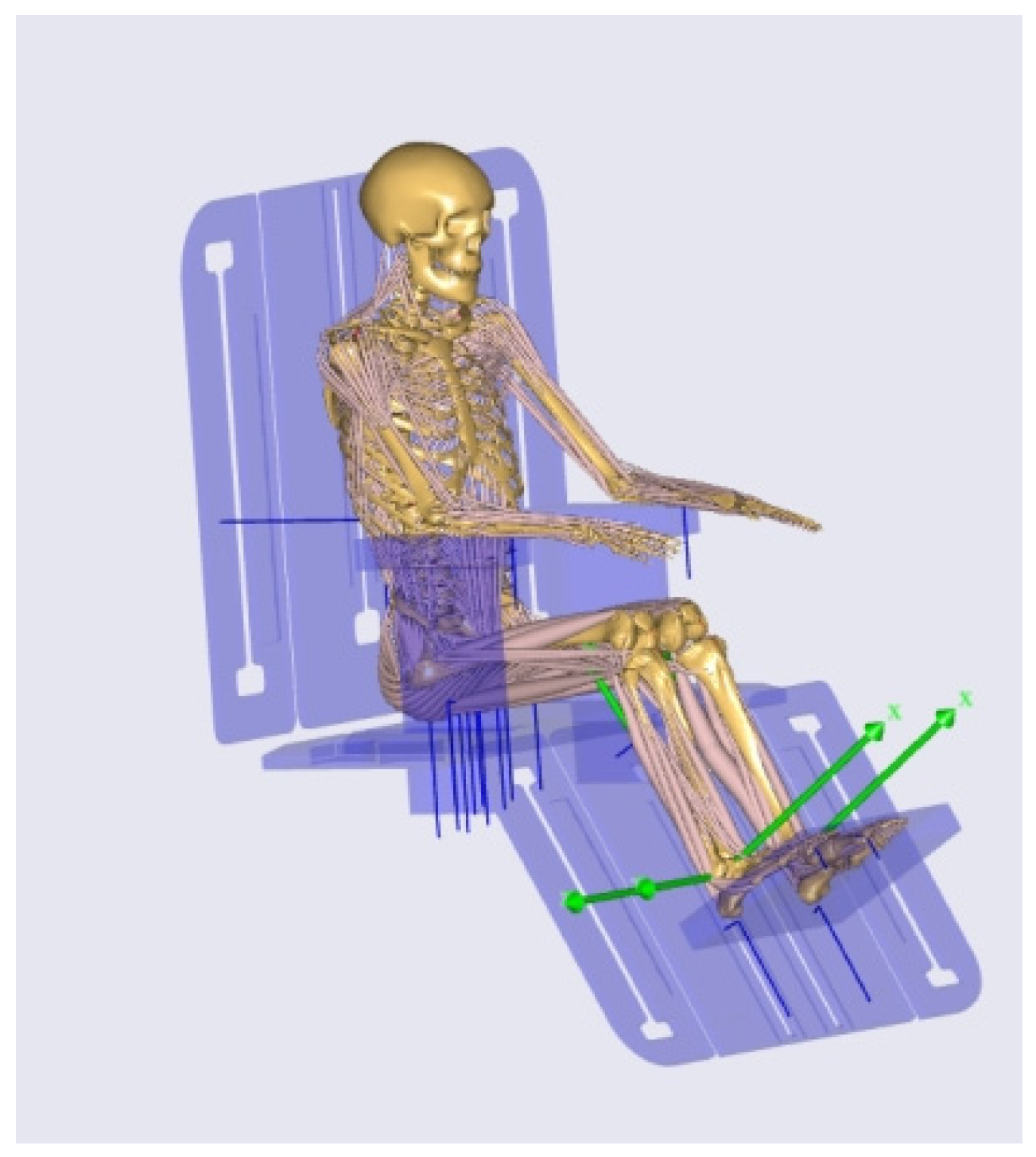 Biomimetics 10 00764 g005