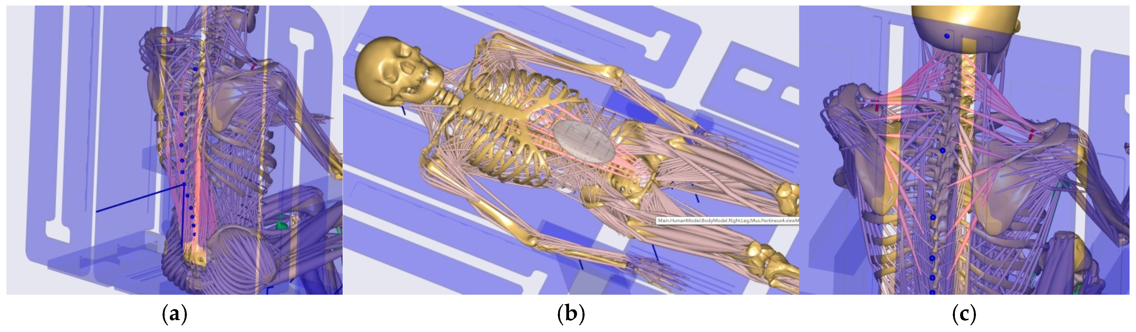 Biomimetics 10 00764 g006