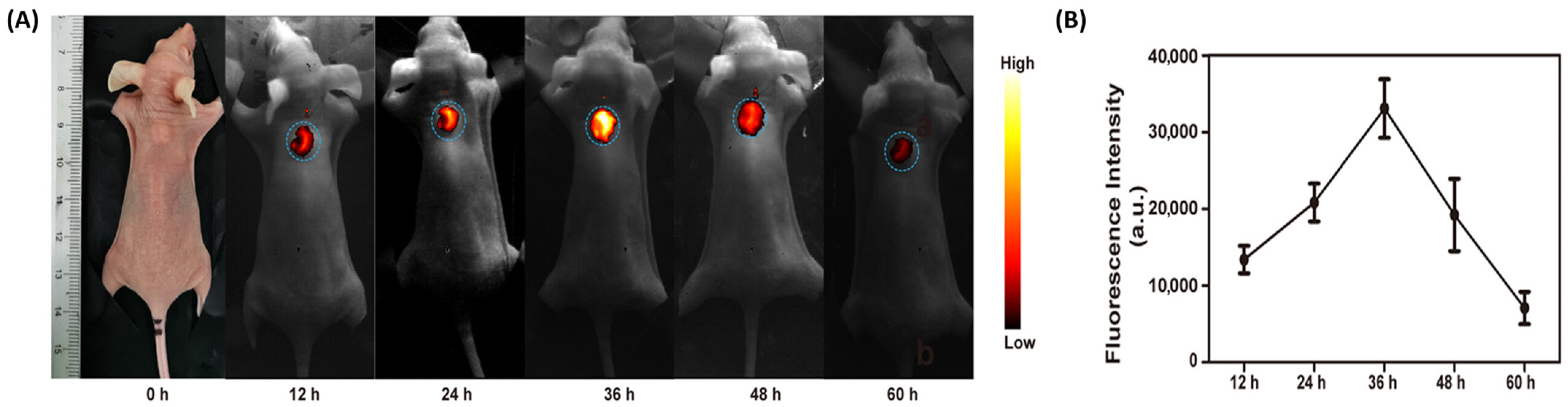 Biomimetics 10 00768 g001