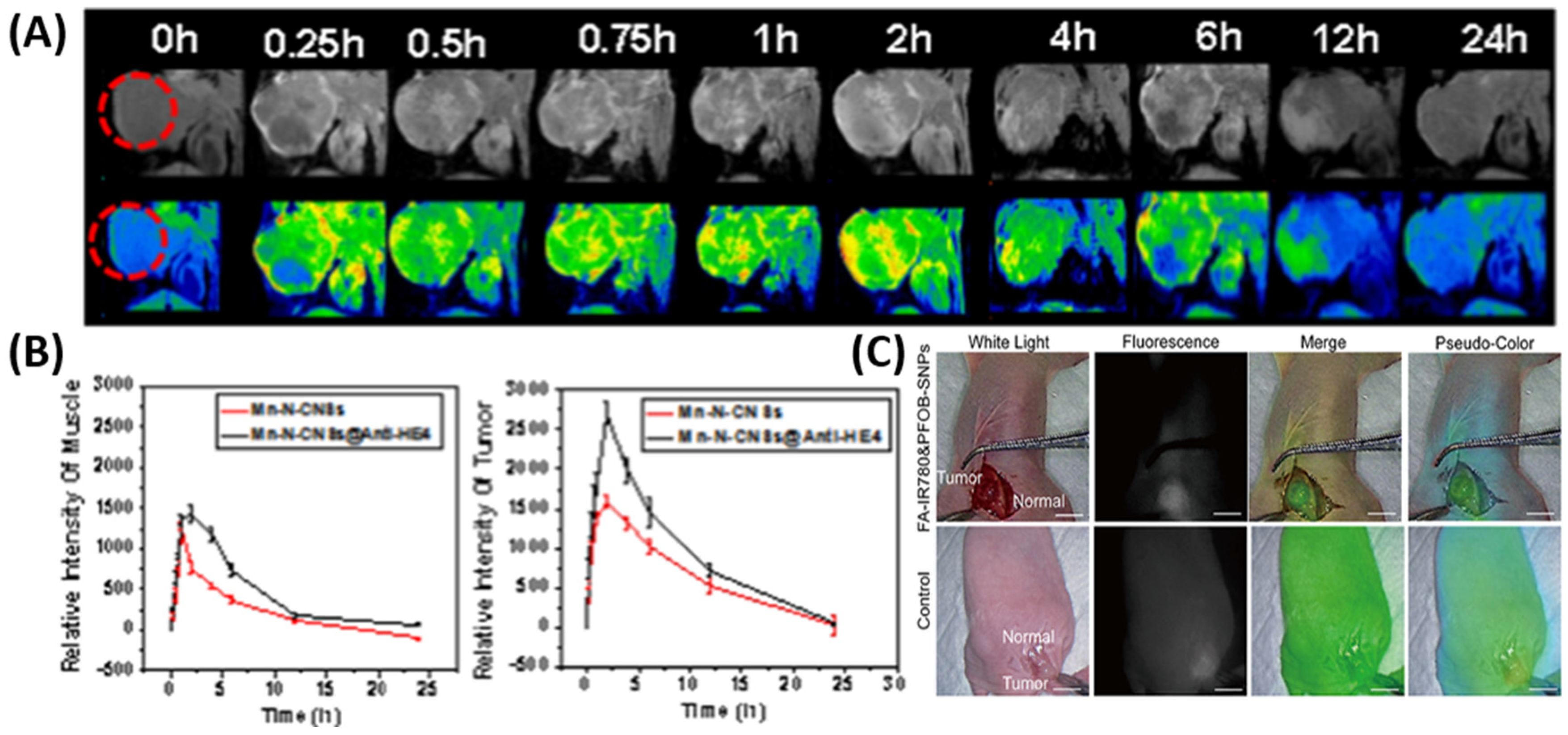 Biomimetics 10 00768 g002