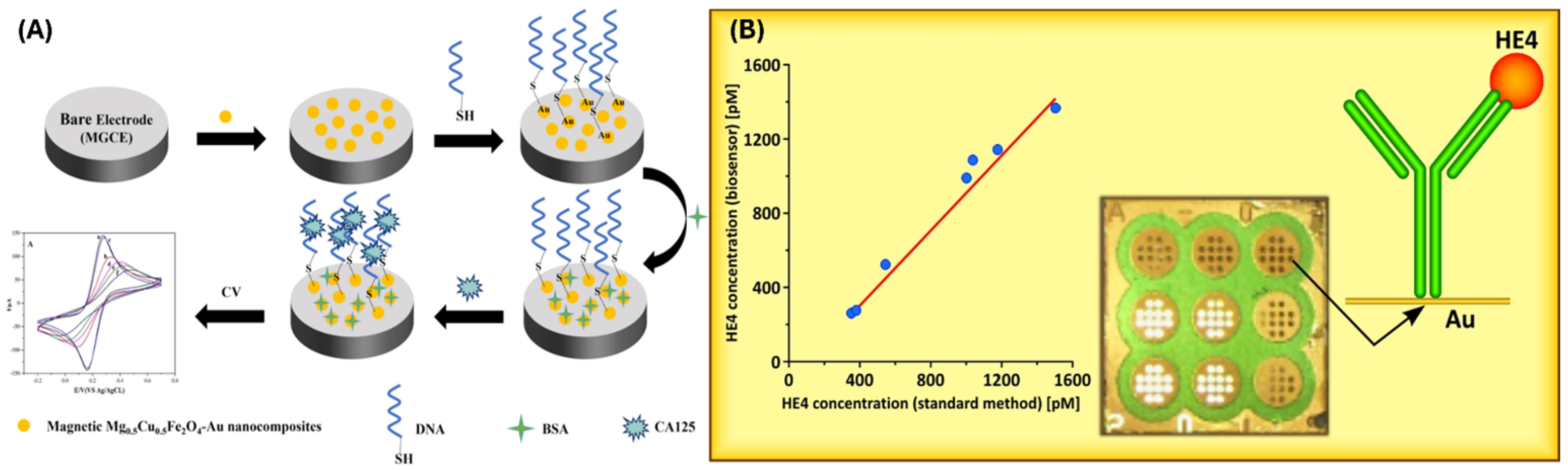 Biomimetics 10 00768 g003