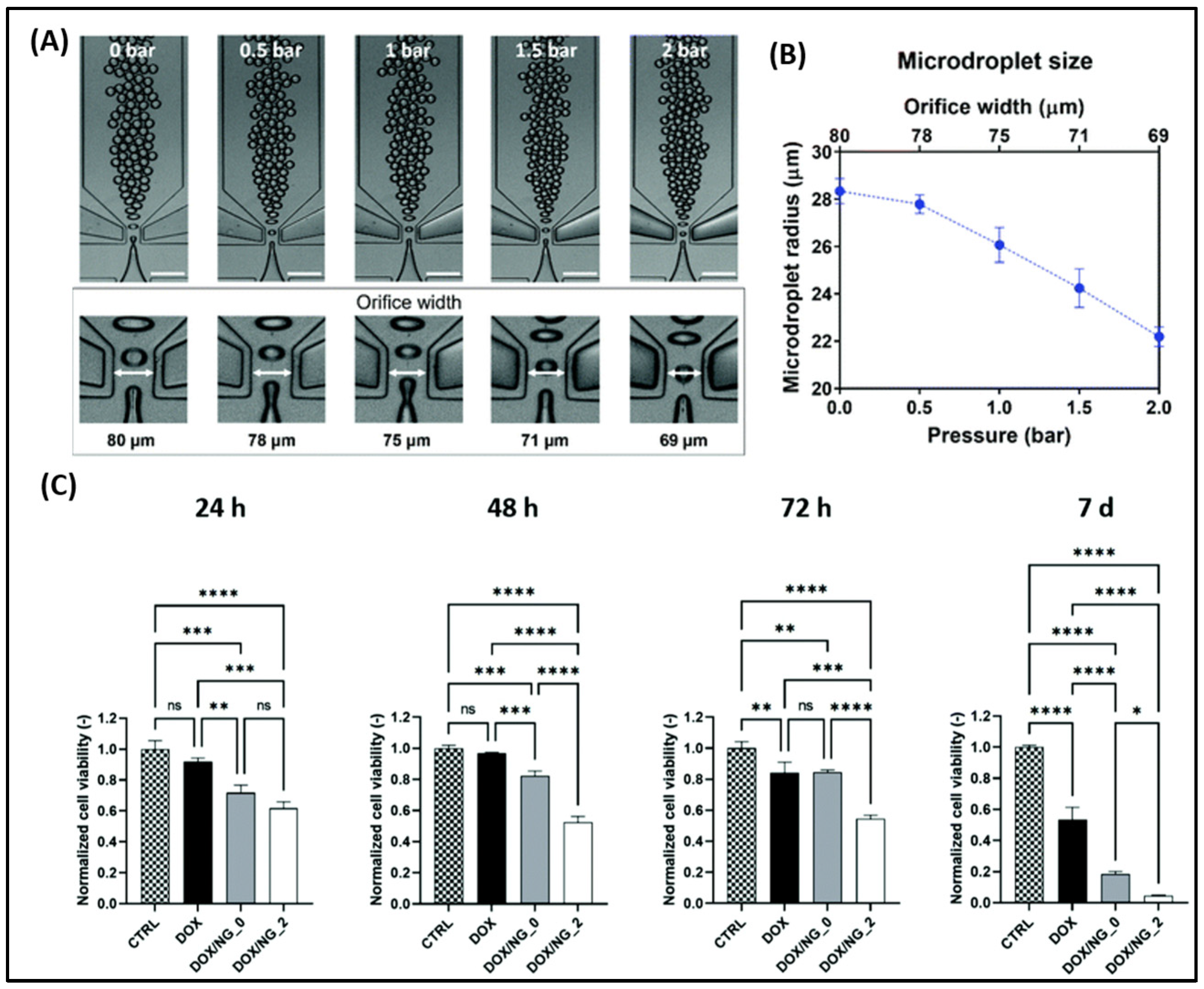 Biomimetics 10 00768 g005