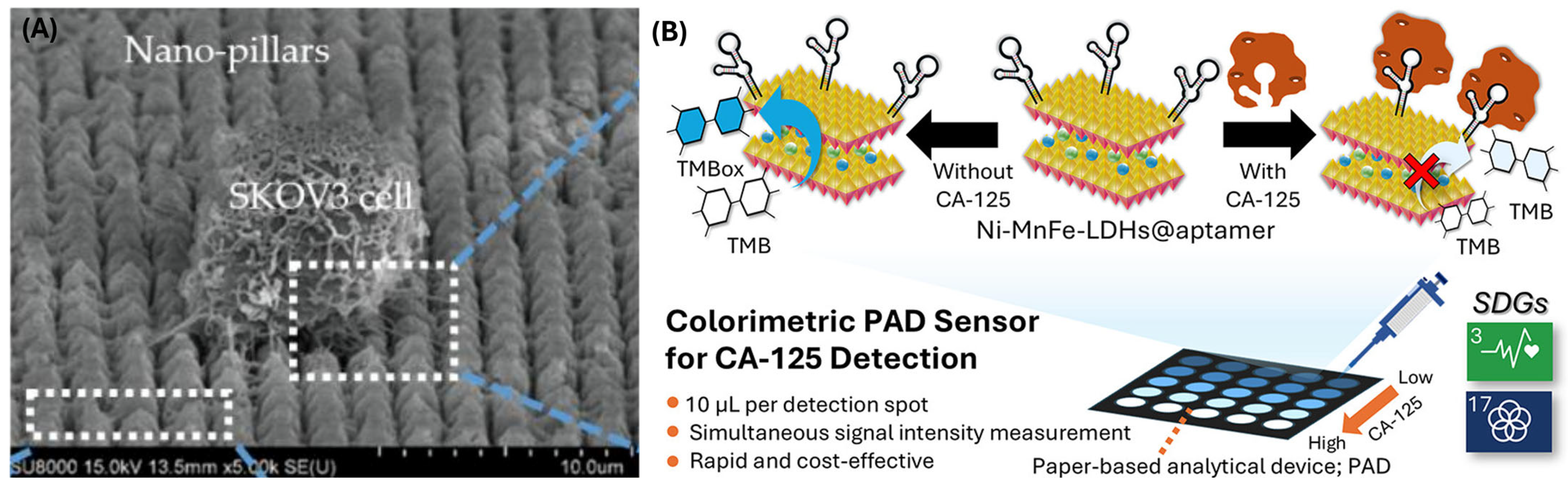 Biomimetics 10 00768 g006