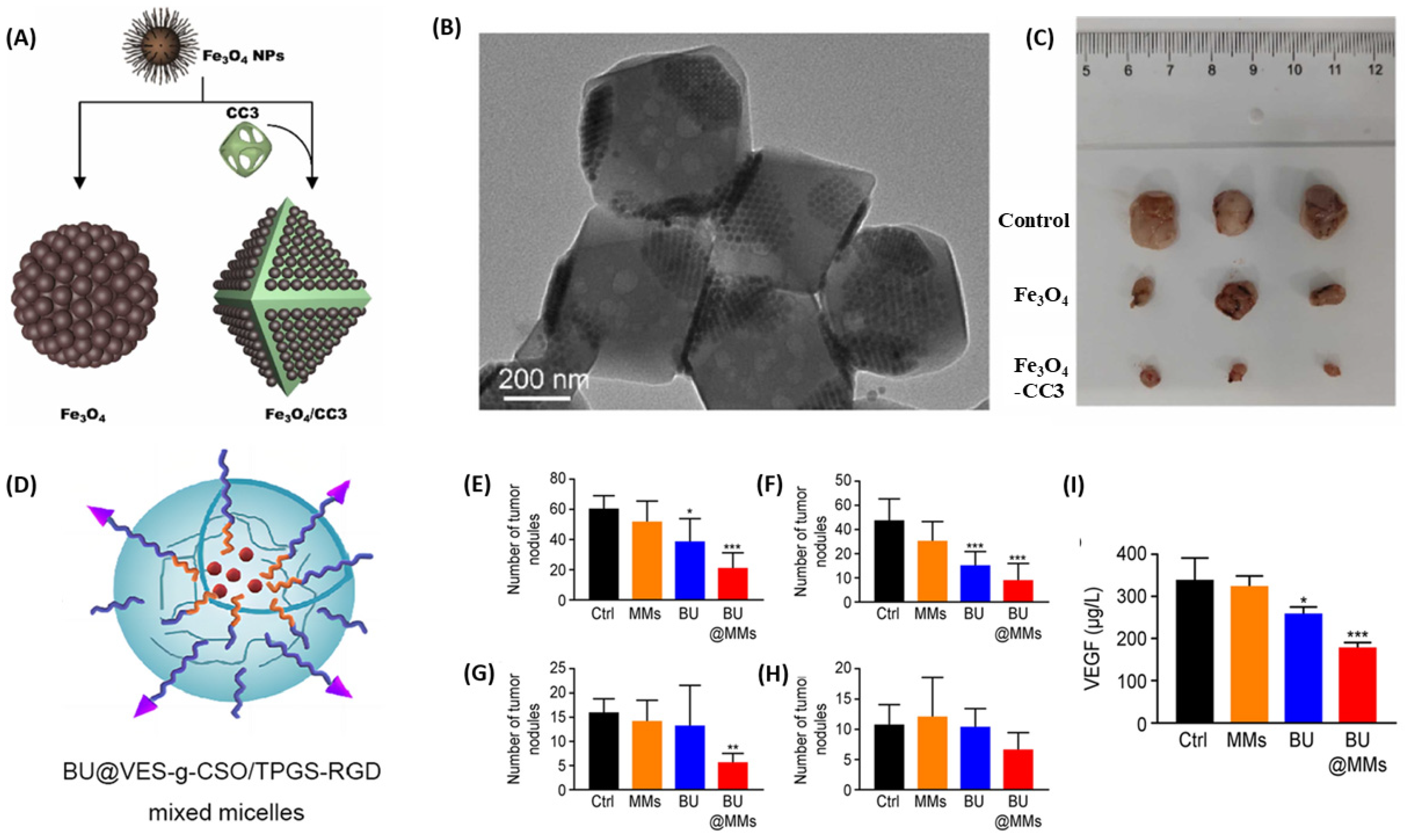 Biomimetics 10 00768 g008