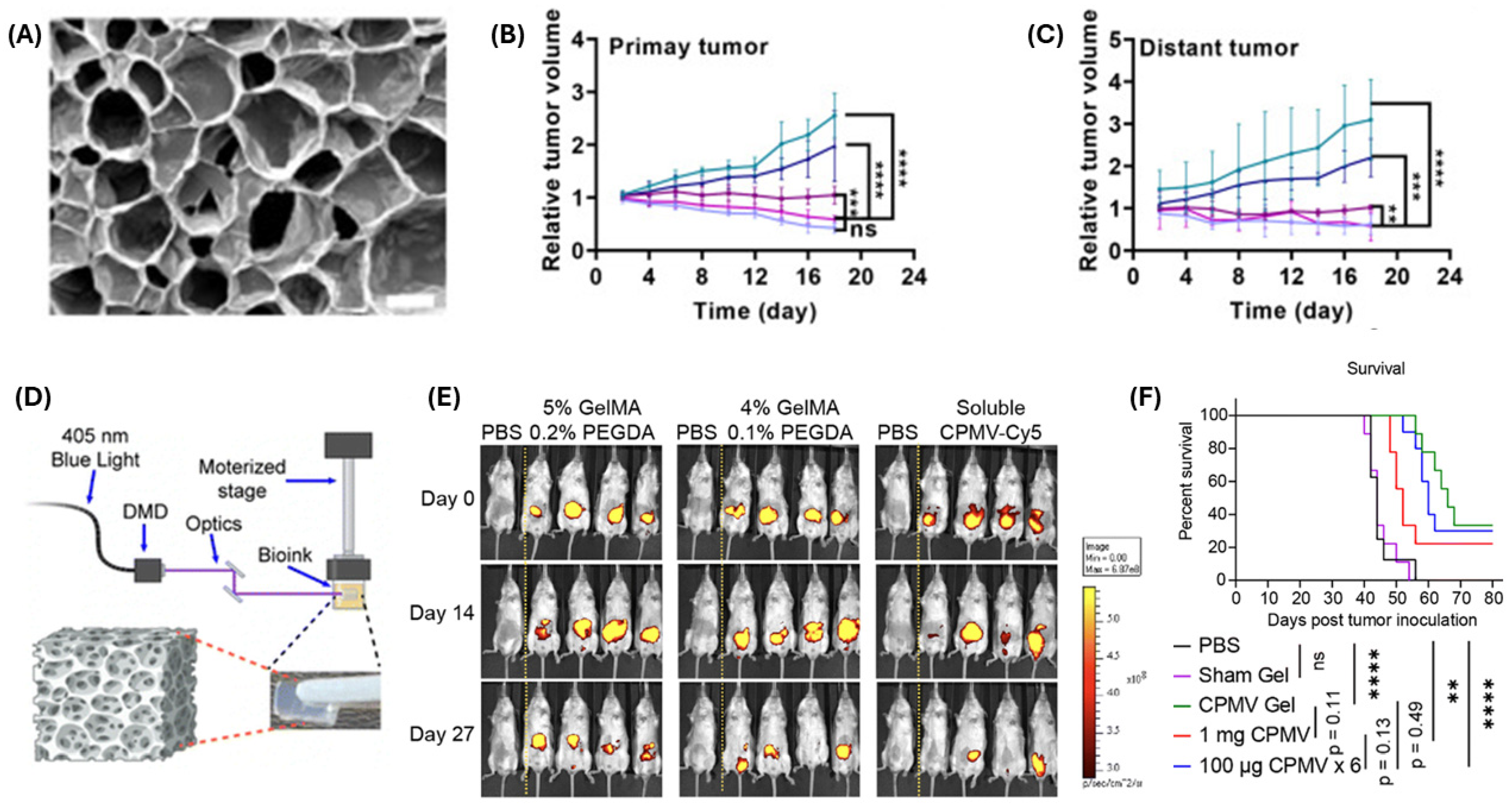 Biomimetics 10 00768 g009