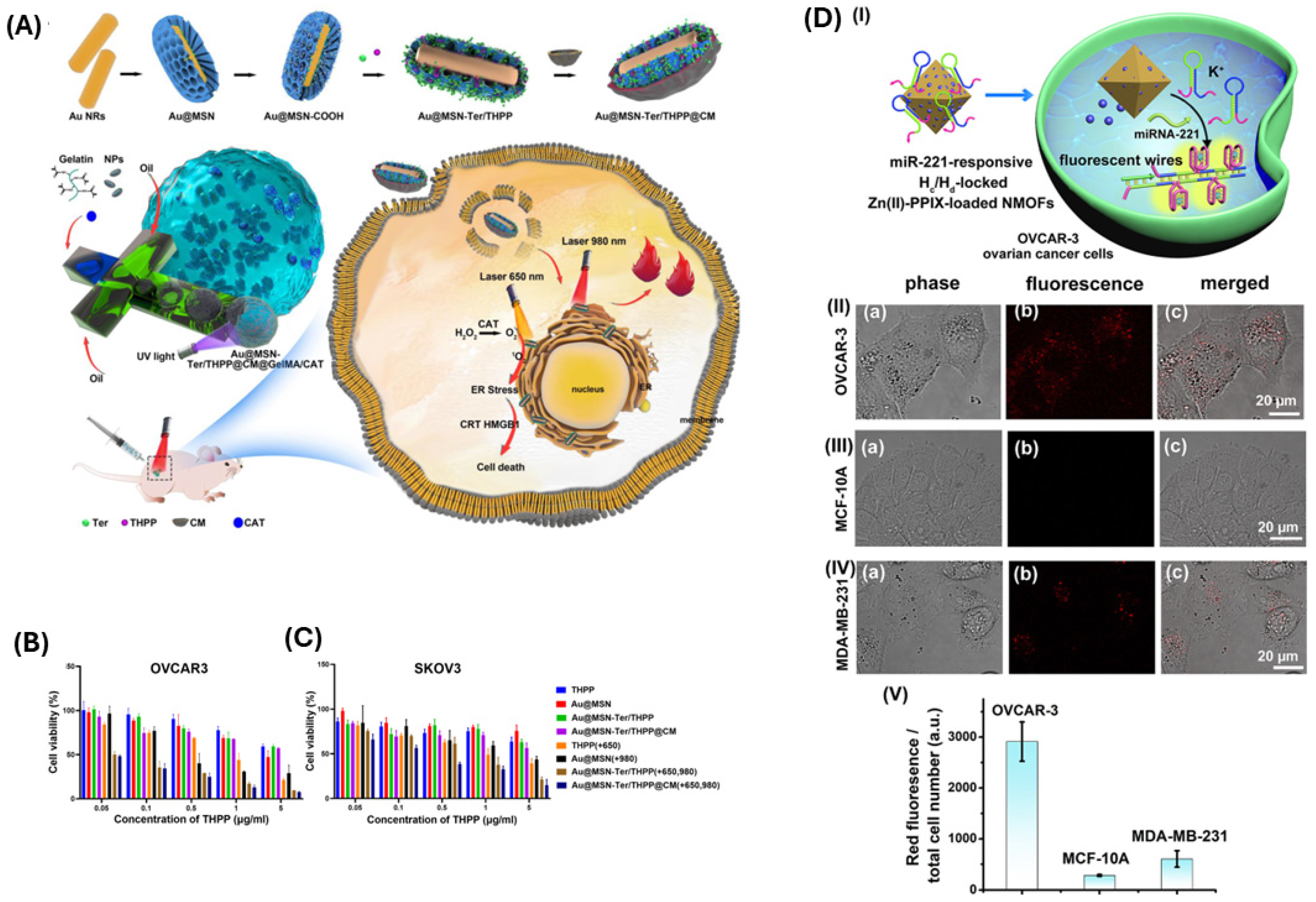 Biomimetics 10 00768 g011