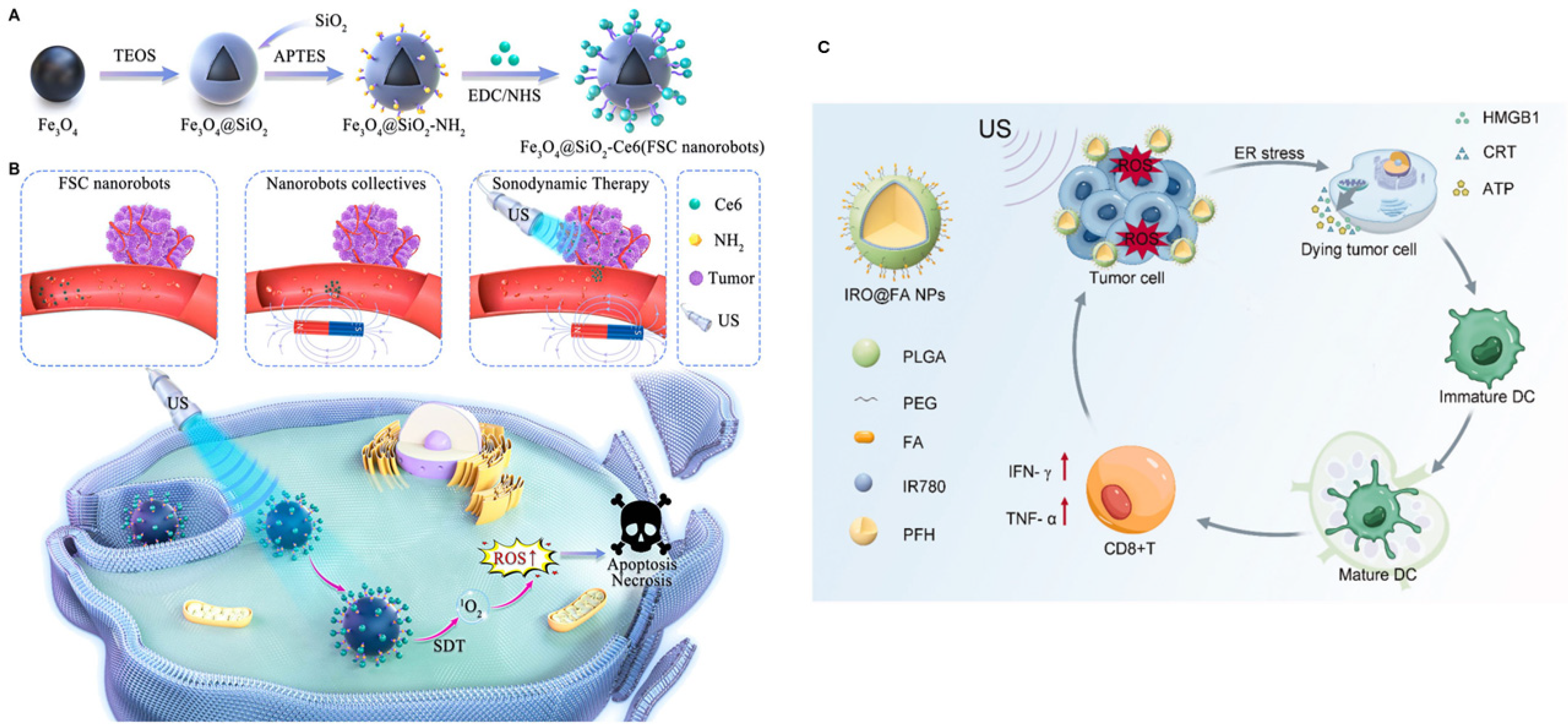Biomimetics 10 00768 g012