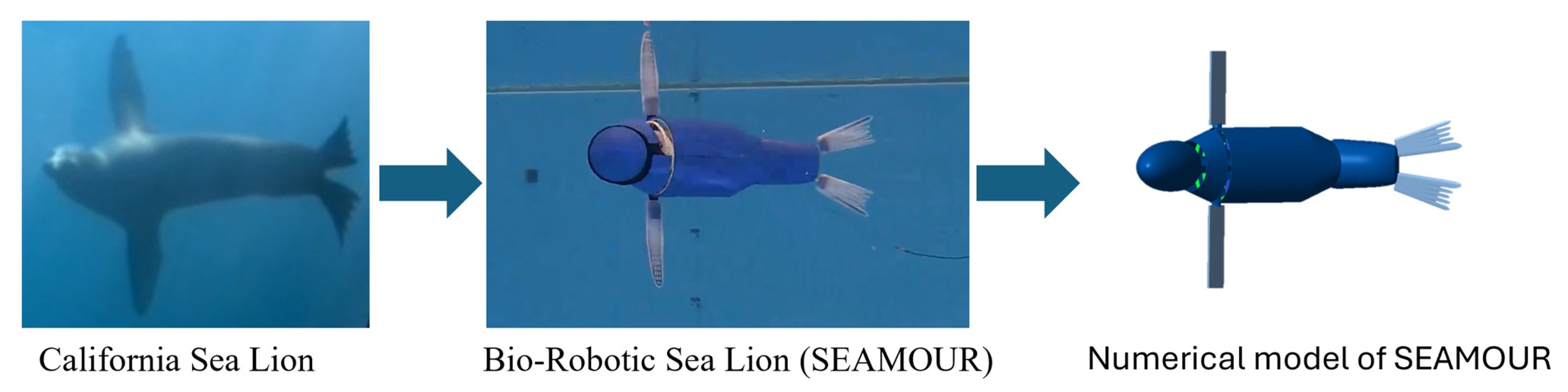 Biomimetics 10 00772 g001 Biomimetics 10 00772 g001