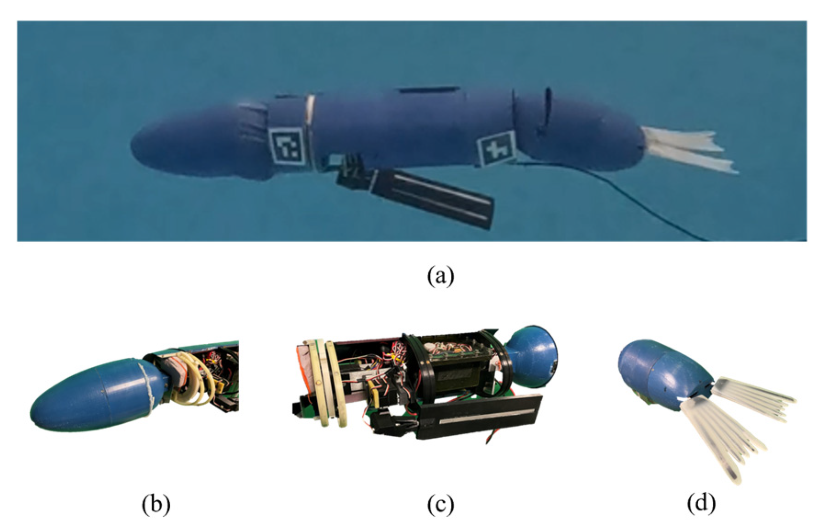 Biomimetics 10 00772 g002 Biomimetics 10 00772 g002