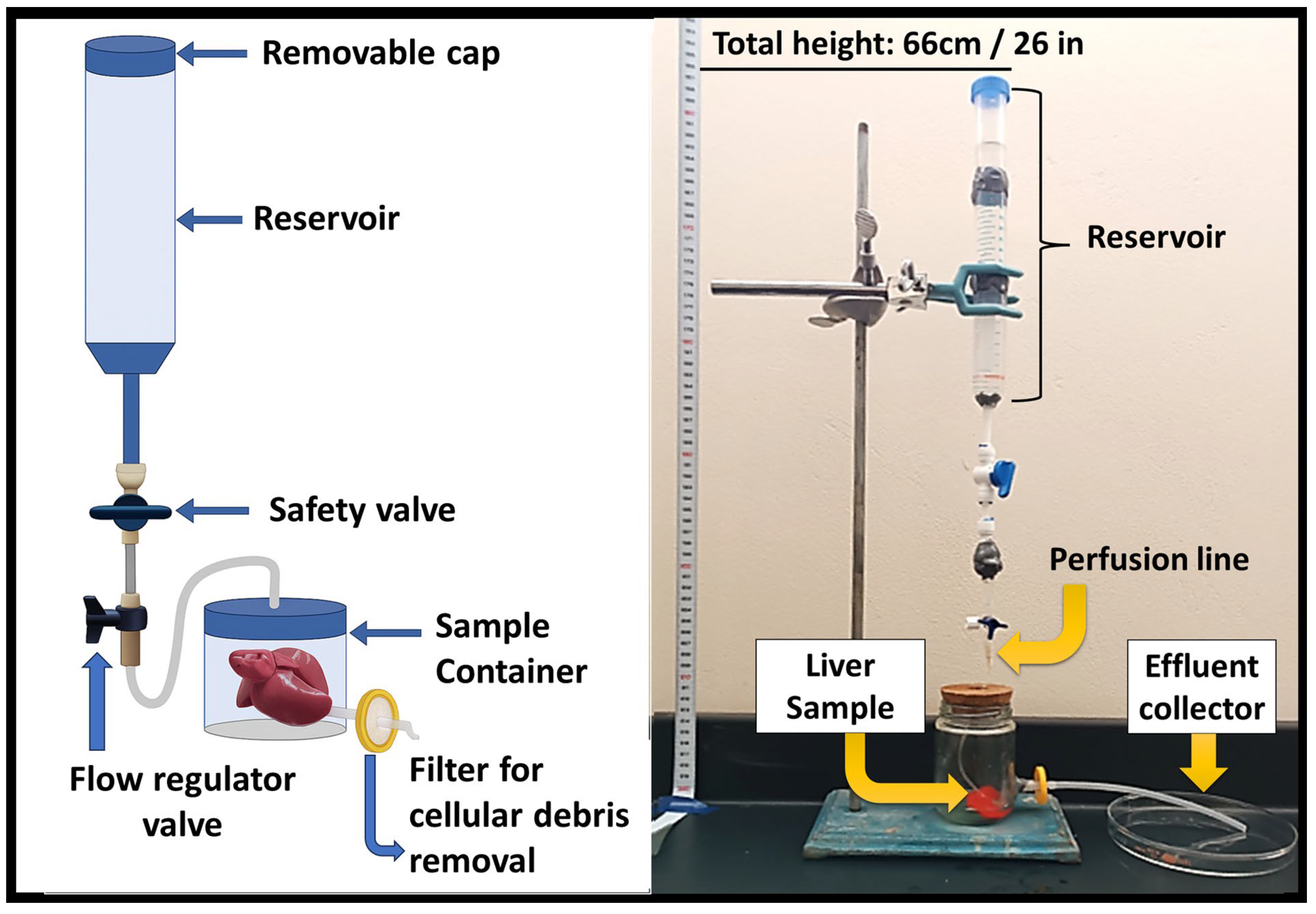 Biomimetics 10 00777 g001 Biomimetics 10 00777 g001
