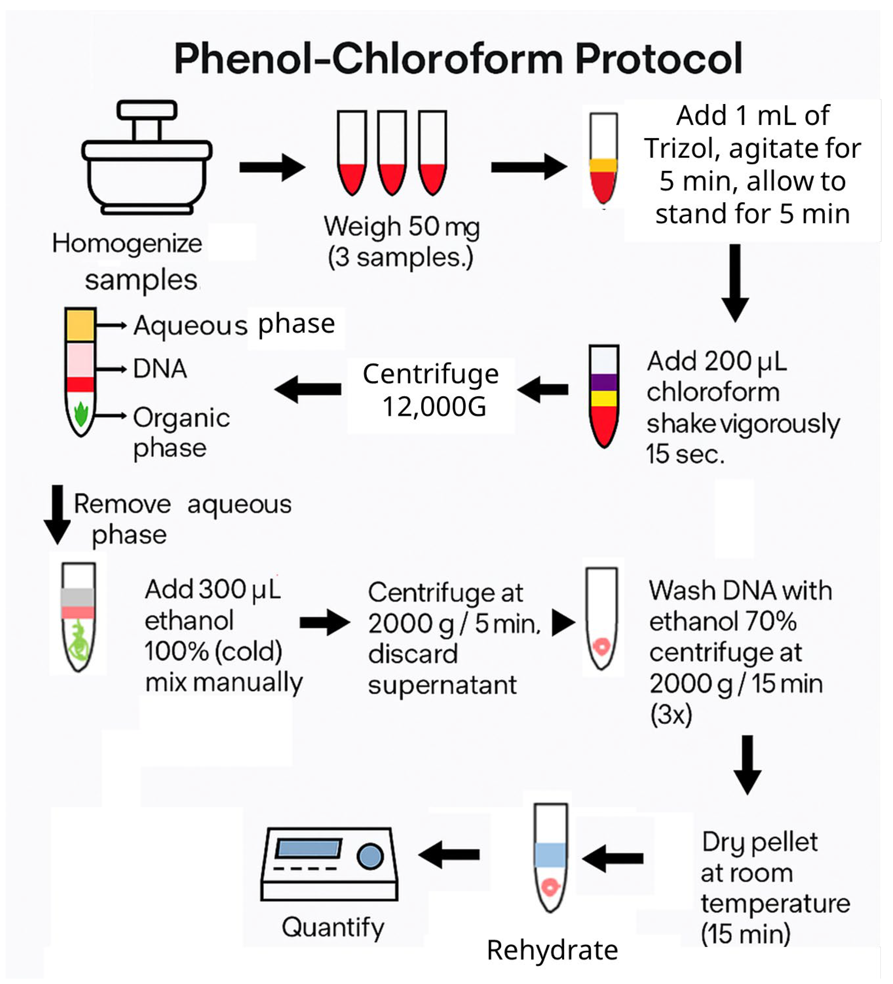 Biomimetics 10 00777 g002 Biomimetics 10 00777 g002