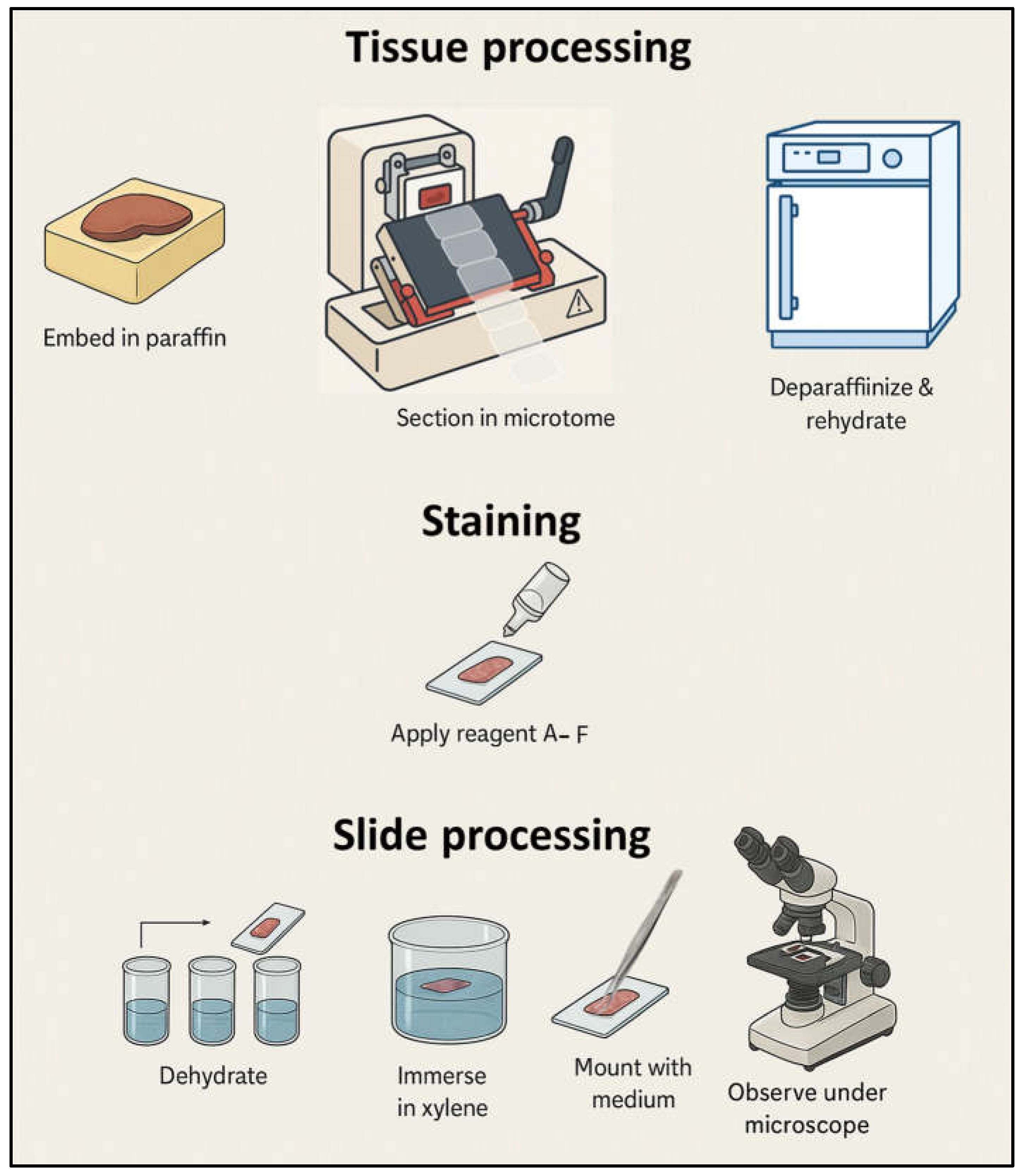 Biomimetics 10 00777 g003 Biomimetics 10 00777 g003