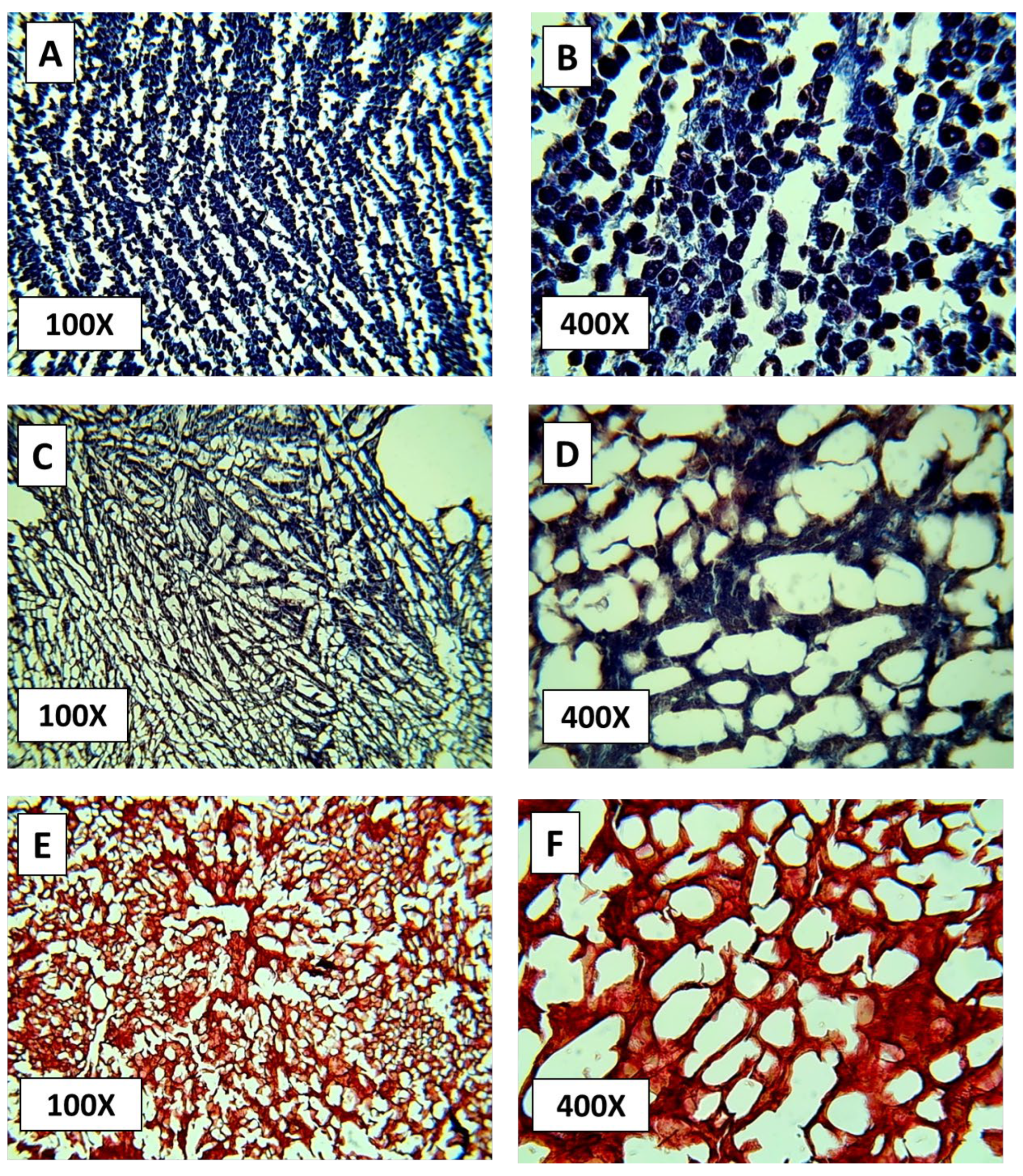Biomimetics 10 00777 g006 Biomimetics 10 00777 g006