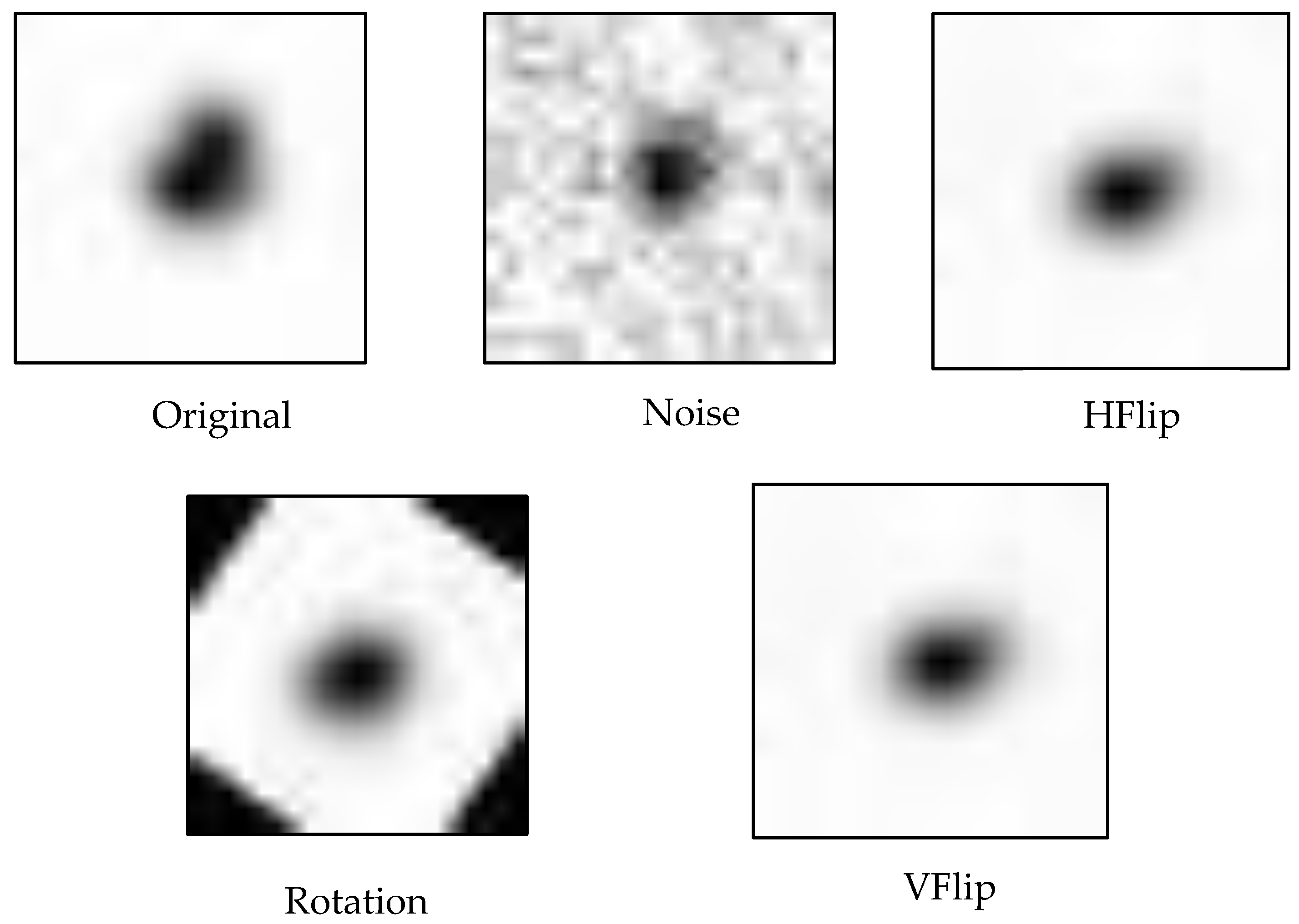 Biomimetics 10 00781 g003
