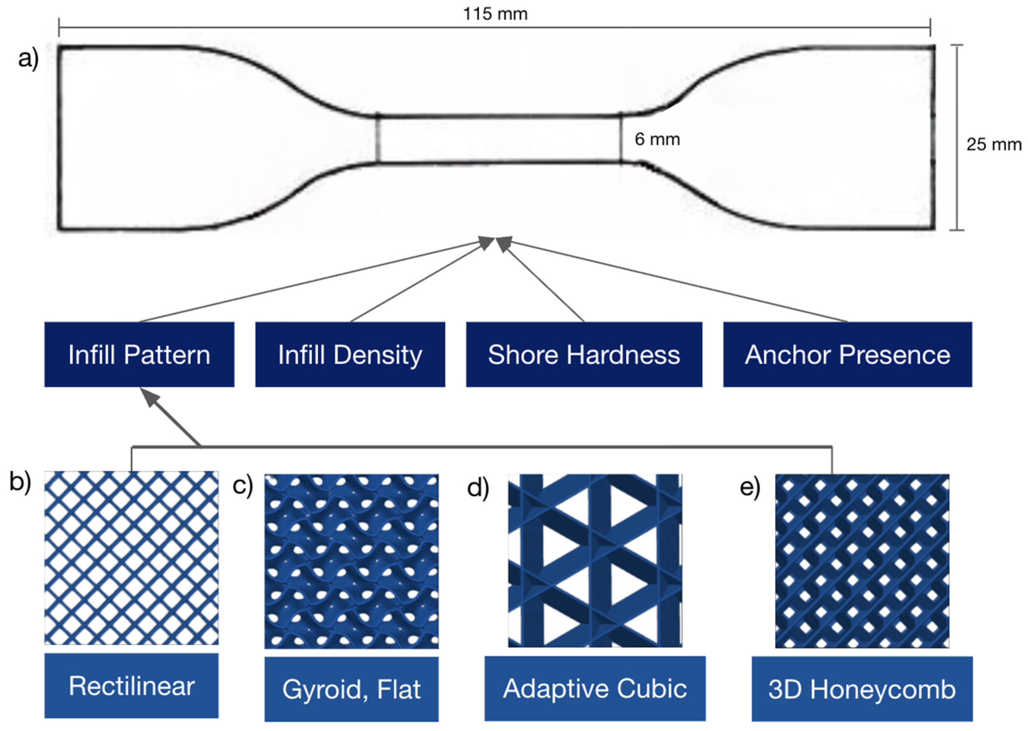Biomimetics 10 00785 g001