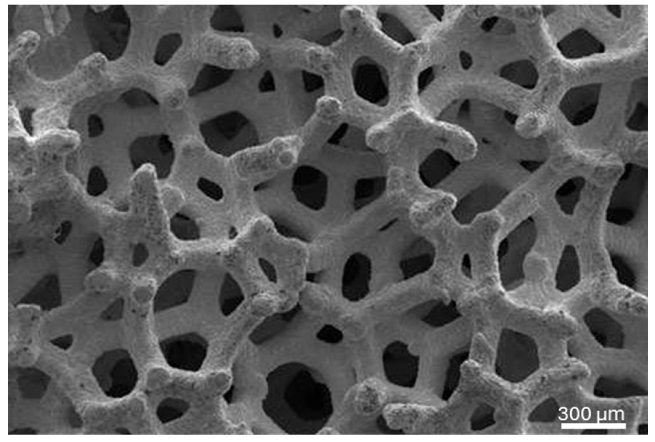 Biomimetics 10 00789 g001