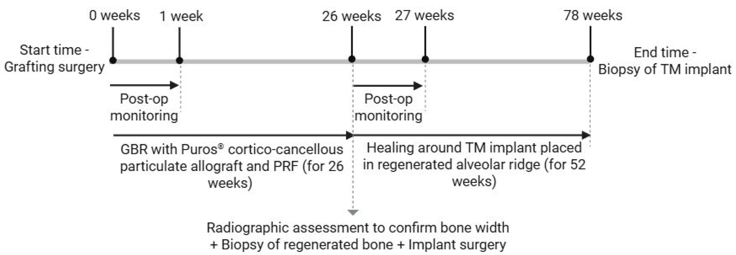 Biomimetics 10 00789 g002