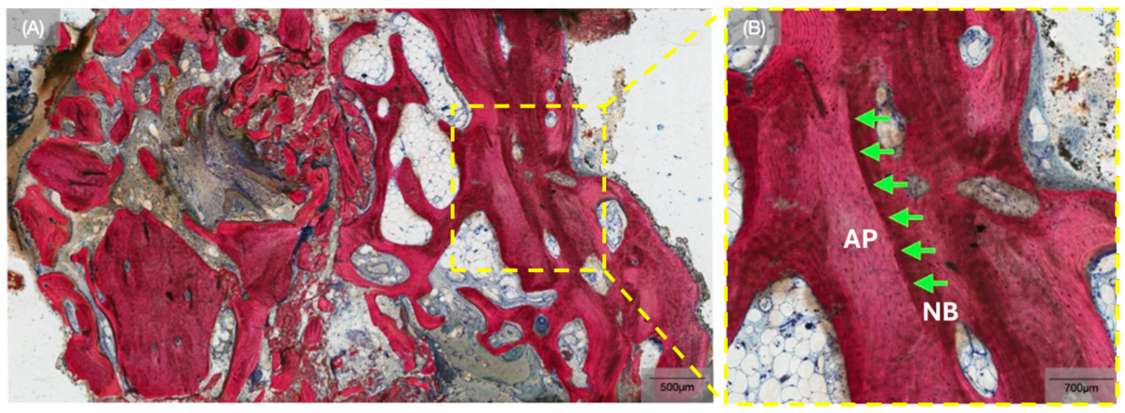 Biomimetics 10 00789 g005