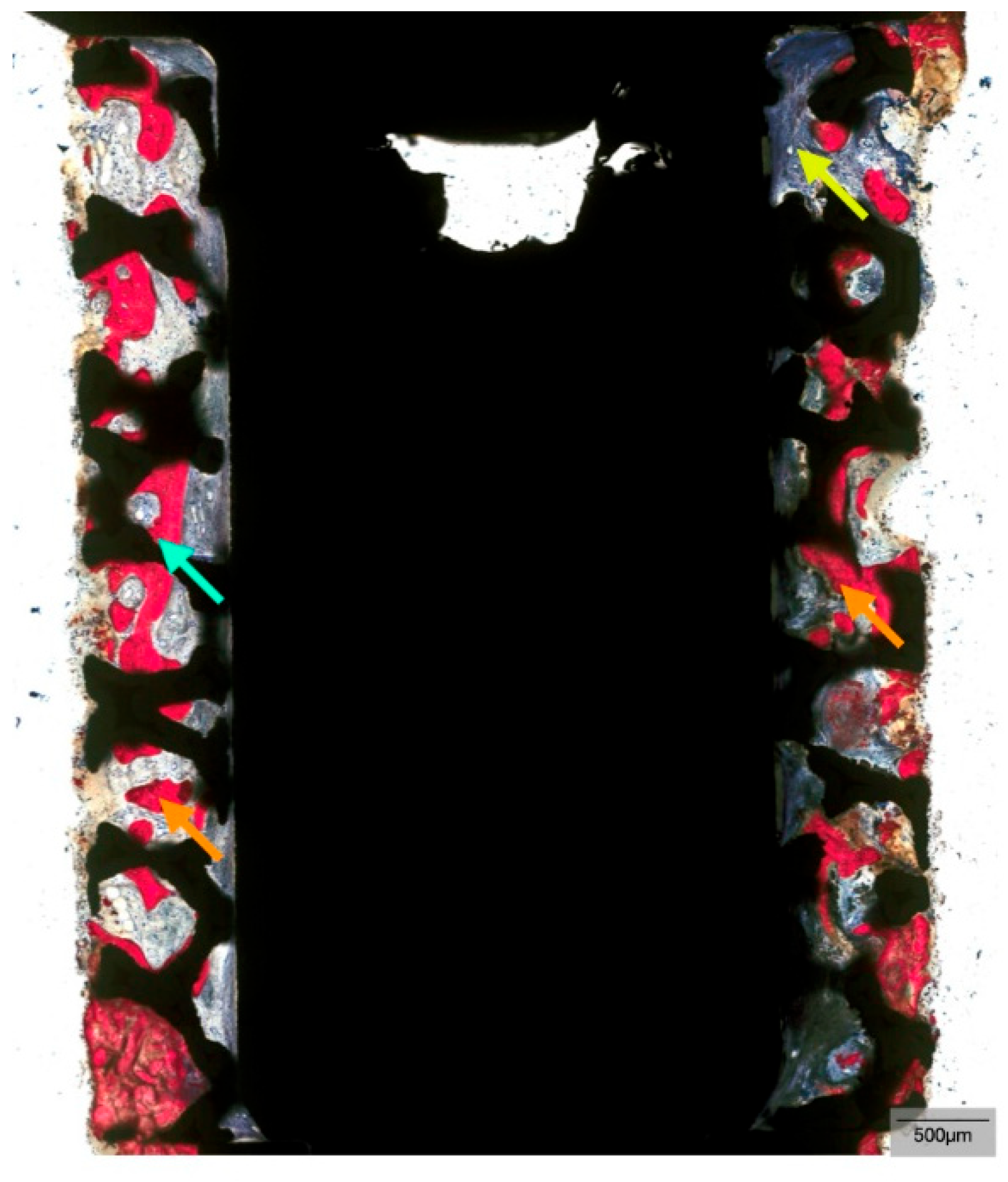 Biomimetics 10 00789 g006