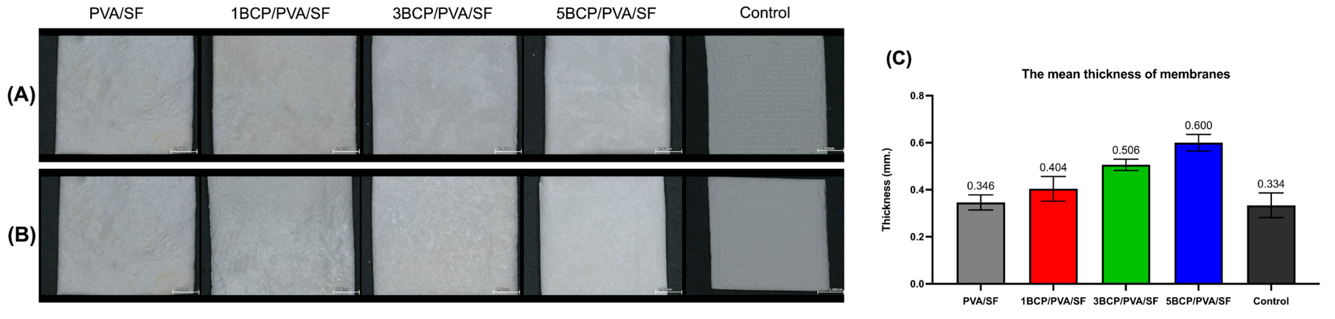 Biomimetics 10 00790 g002