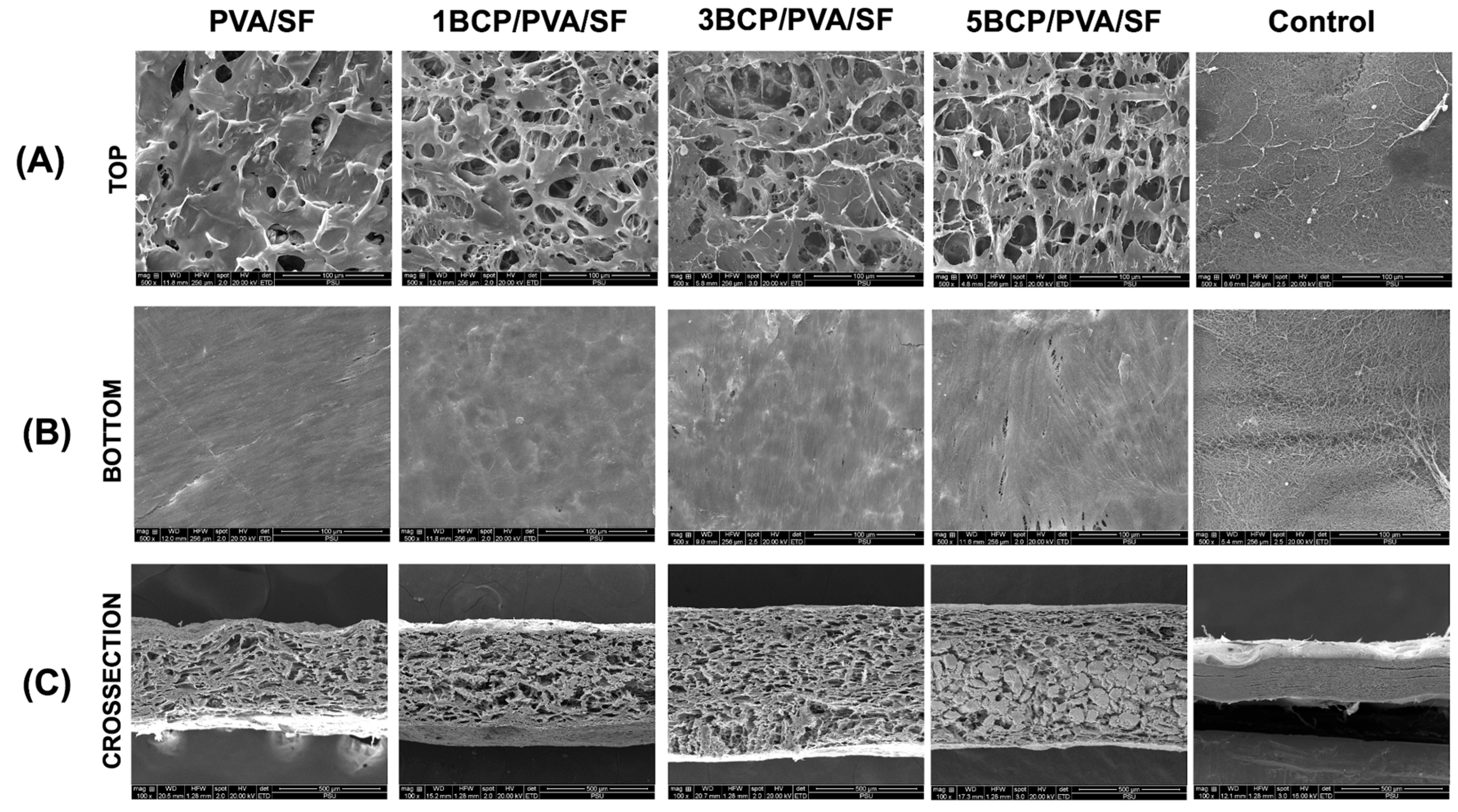 Biomimetics 10 00790 g003