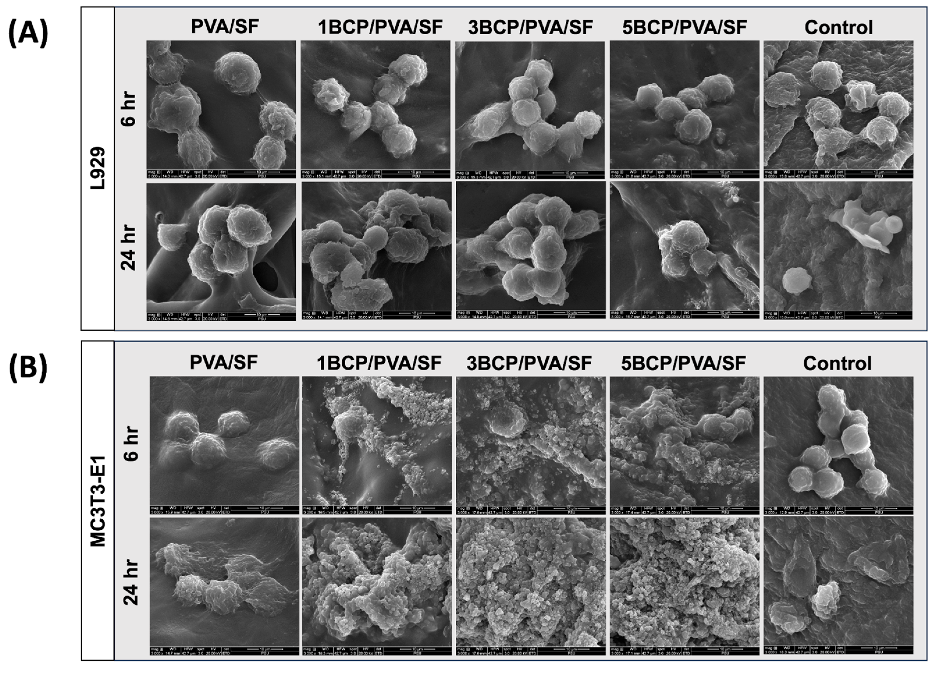 Biomimetics 10 00790 g011