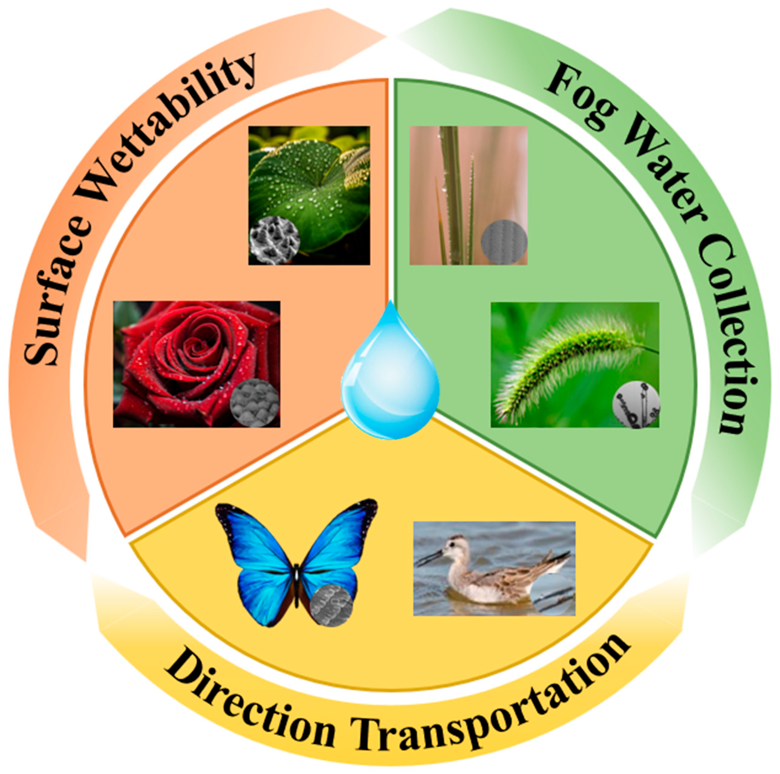 Biomimetics 10 00791 g001