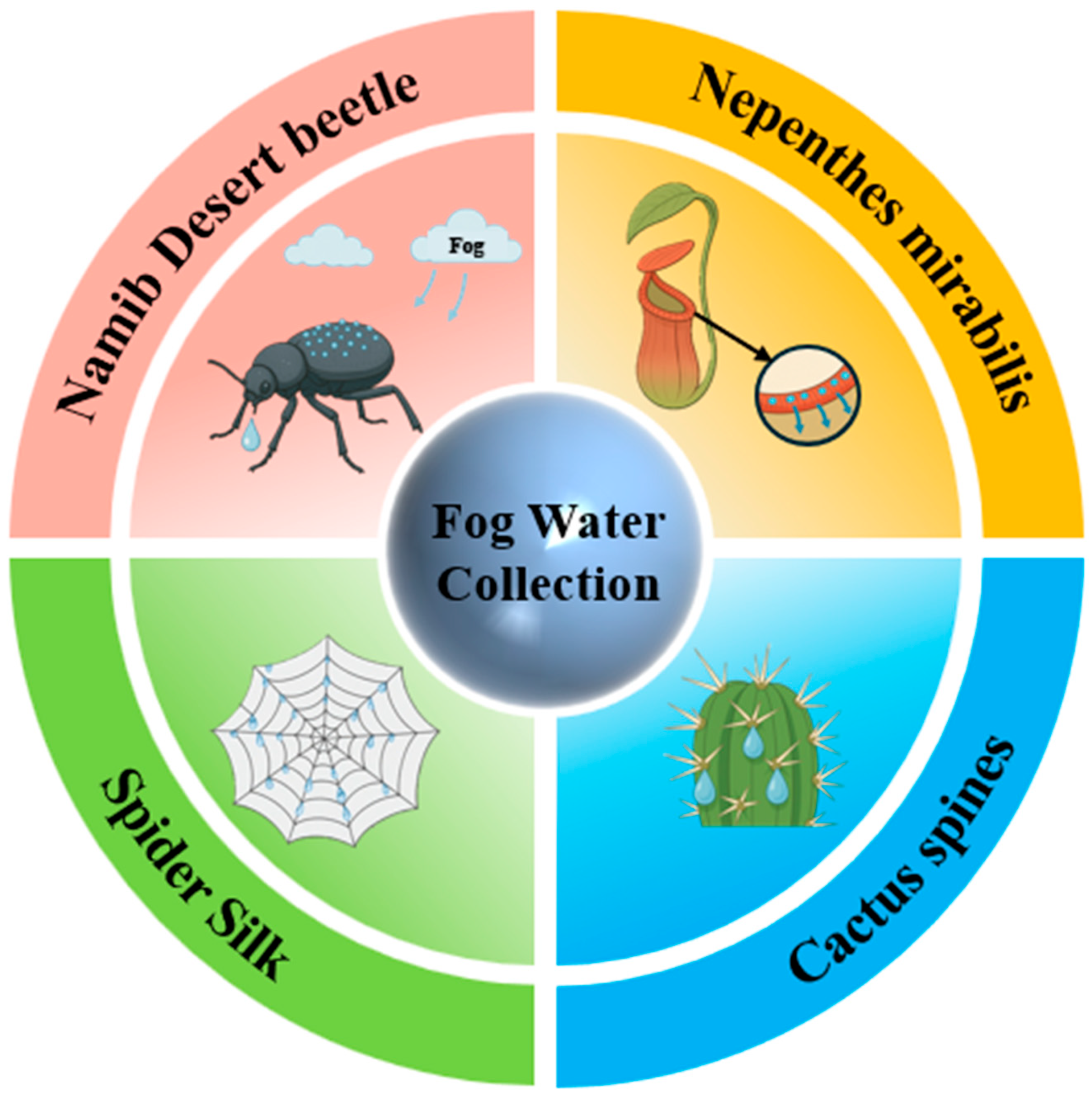 Biomimetics 10 00791 g002