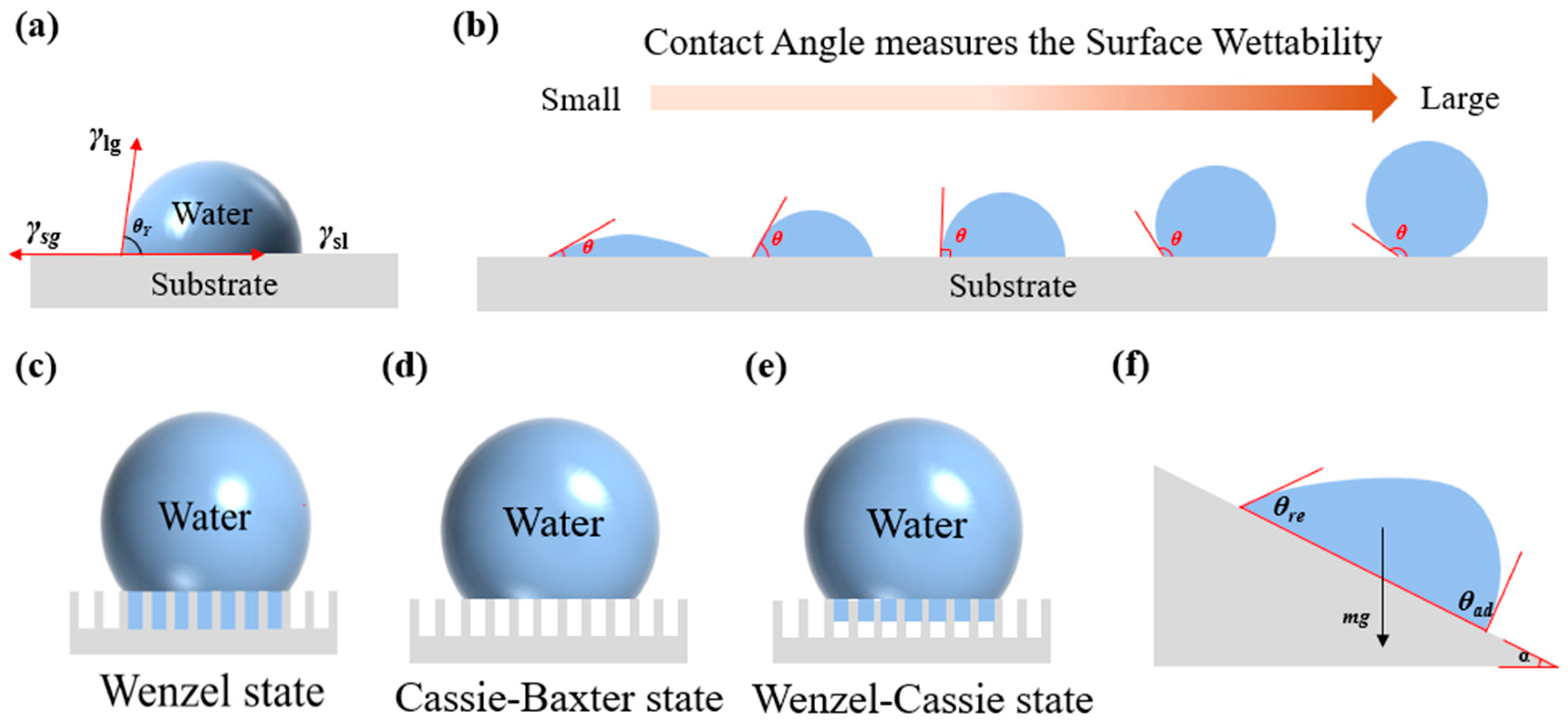 Biomimetics 10 00791 g003