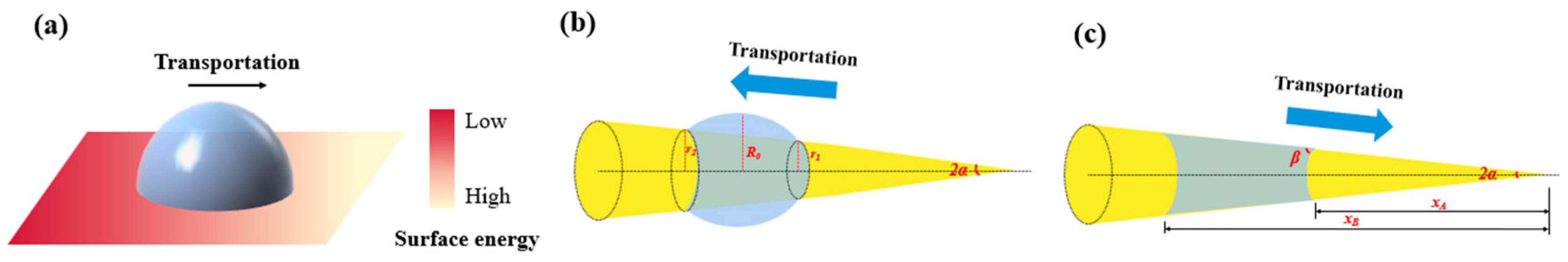 Biomimetics 10 00791 g005