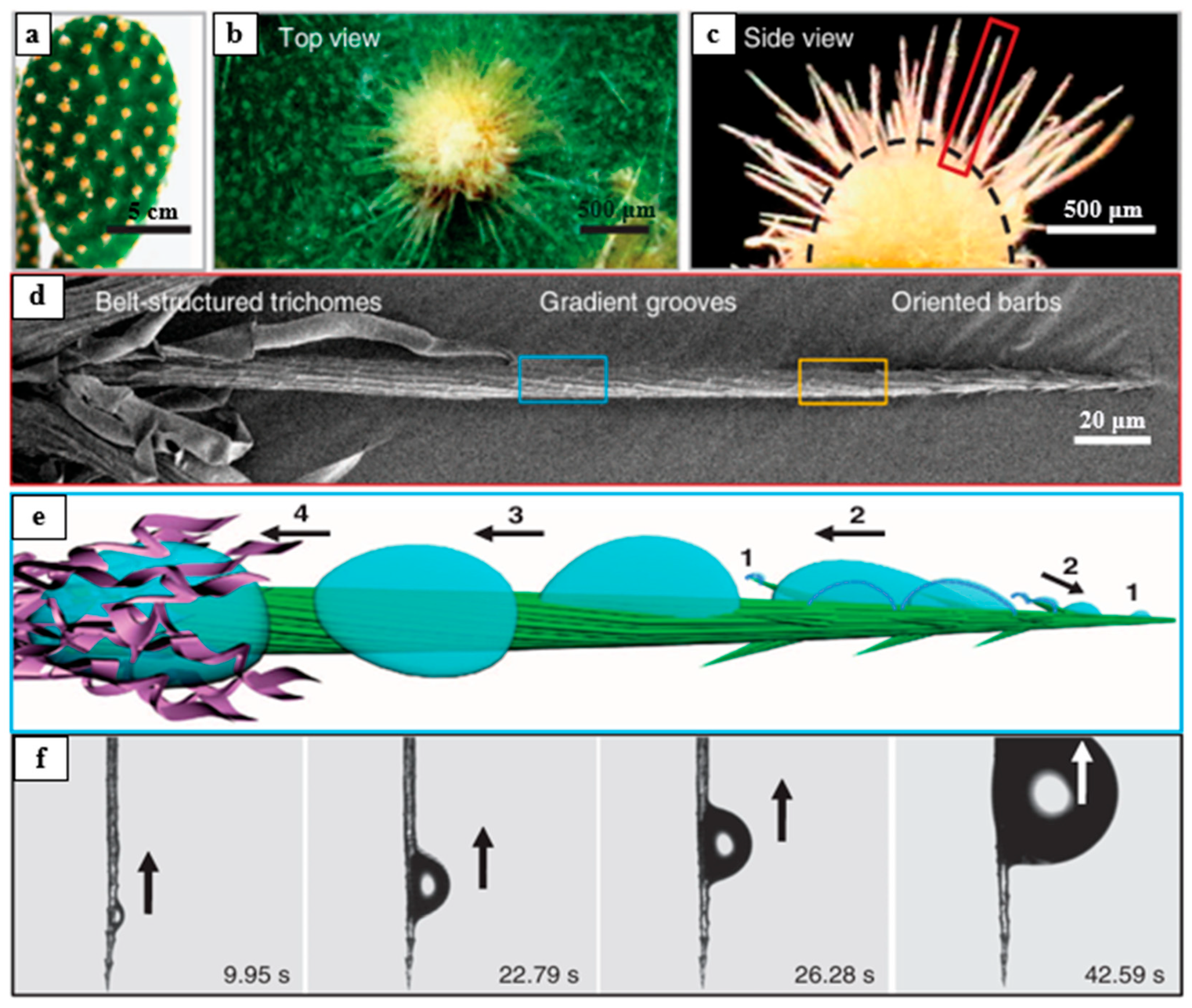 Biomimetics 10 00791 g008