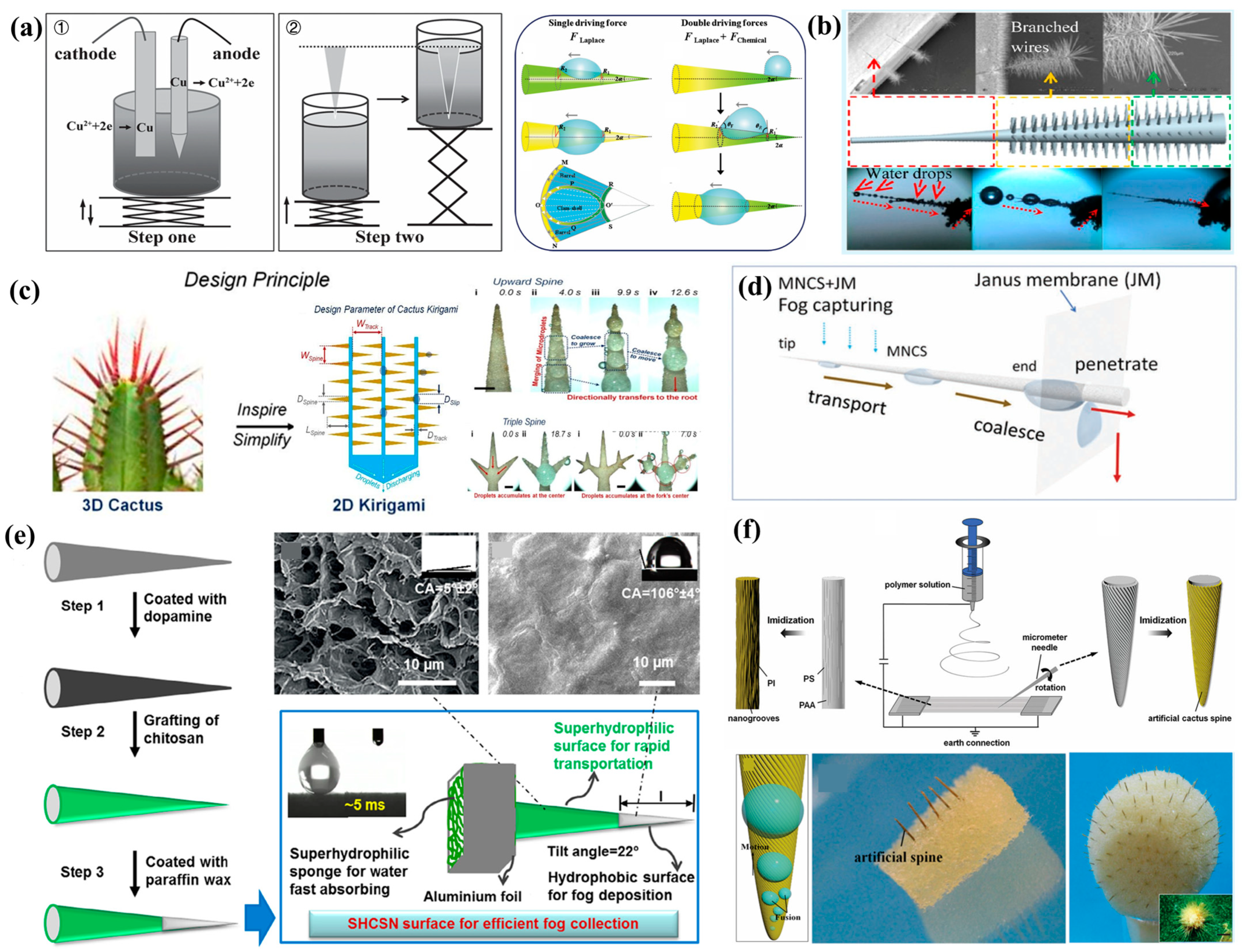 Biomimetics 10 00791 g009